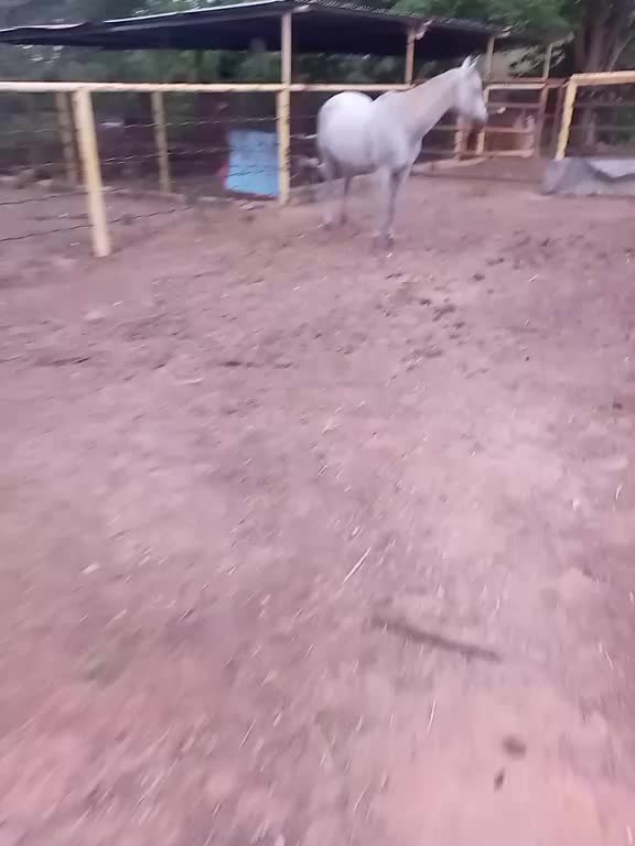 @JOSÉ DAVID