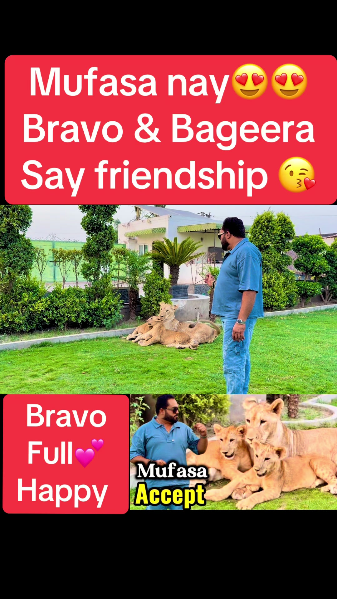 @Mian saqib