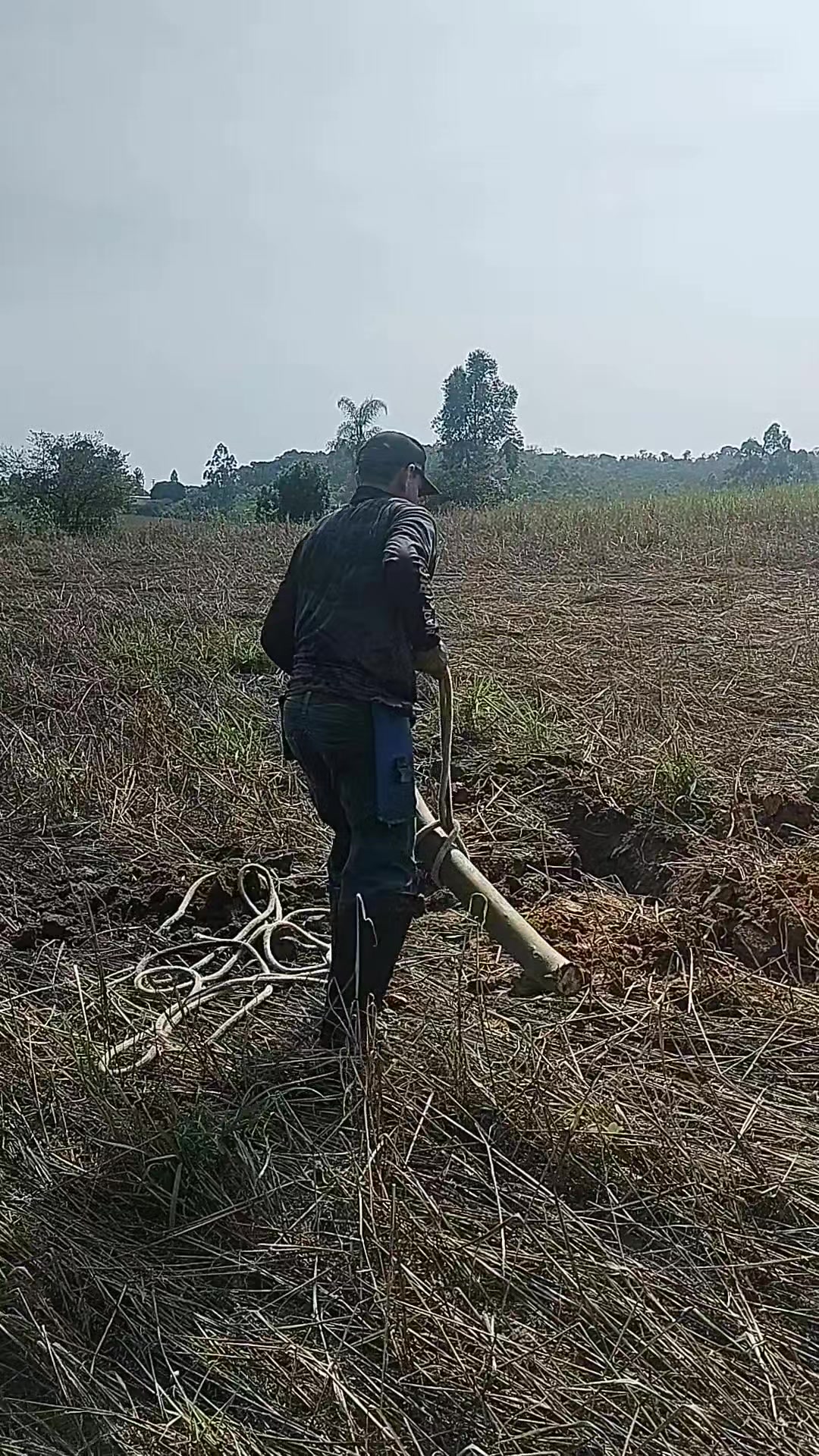 @Régis Neiva
