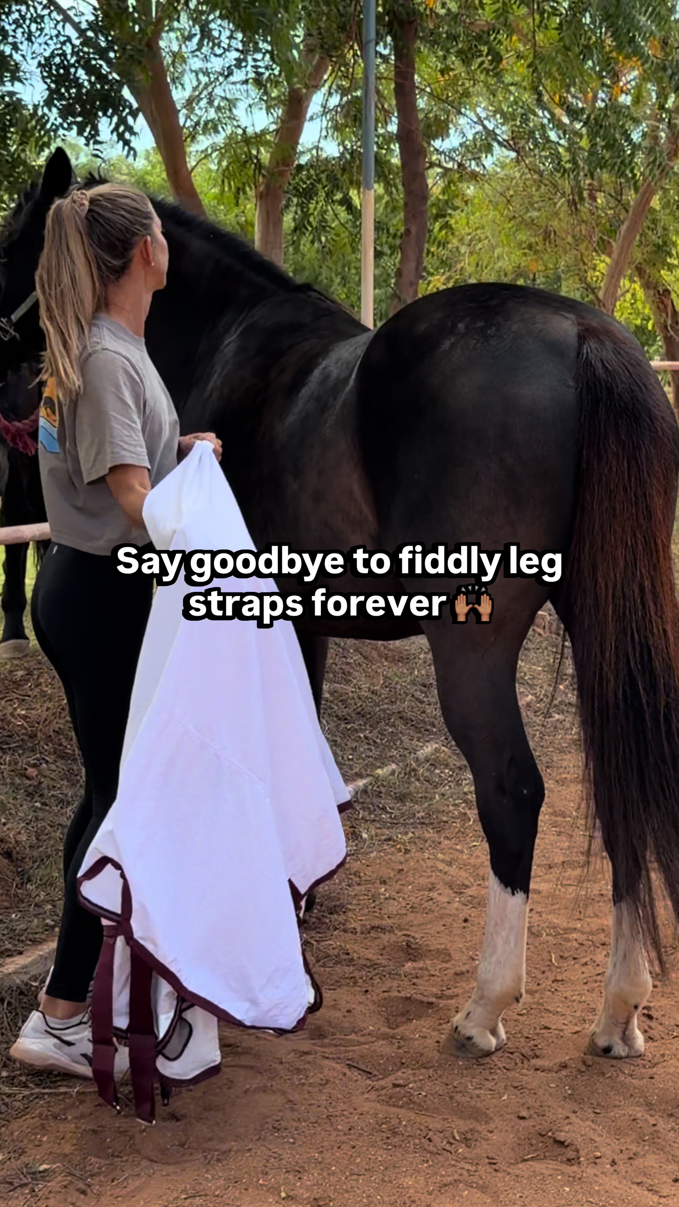 @Leader Equine