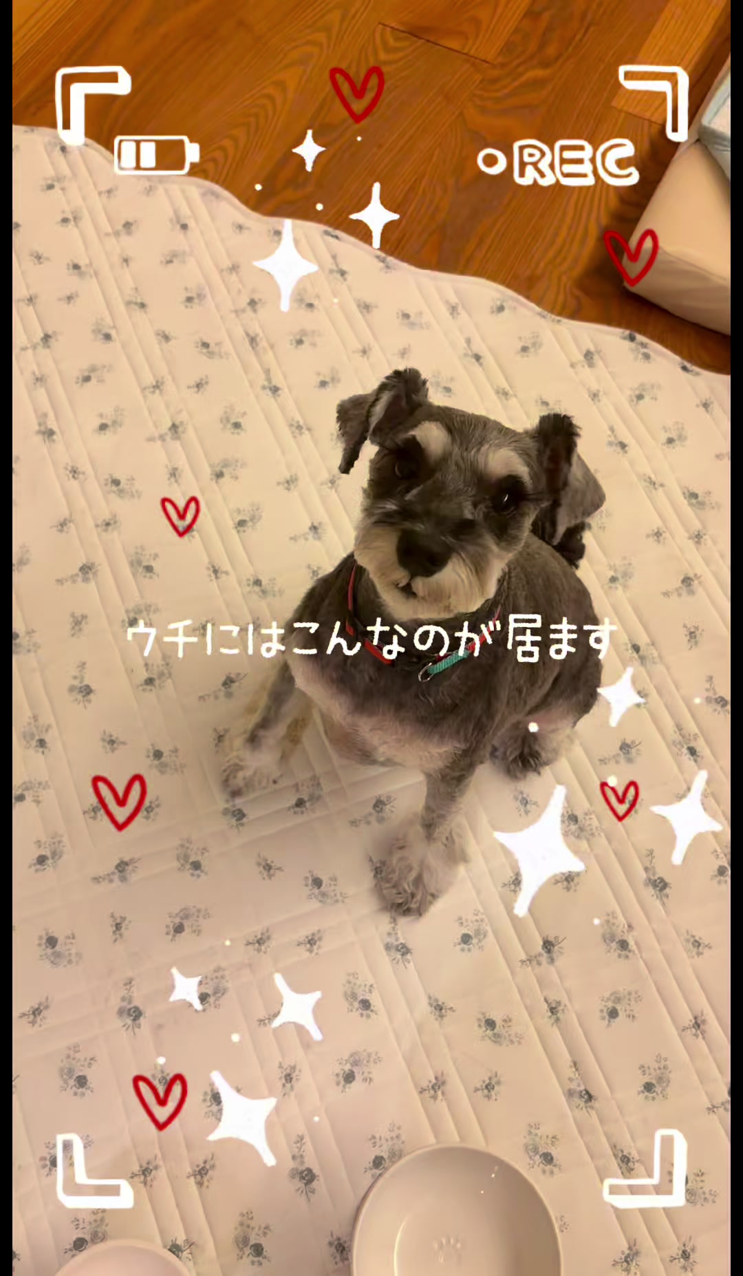 @ポルとムータンの大冒険