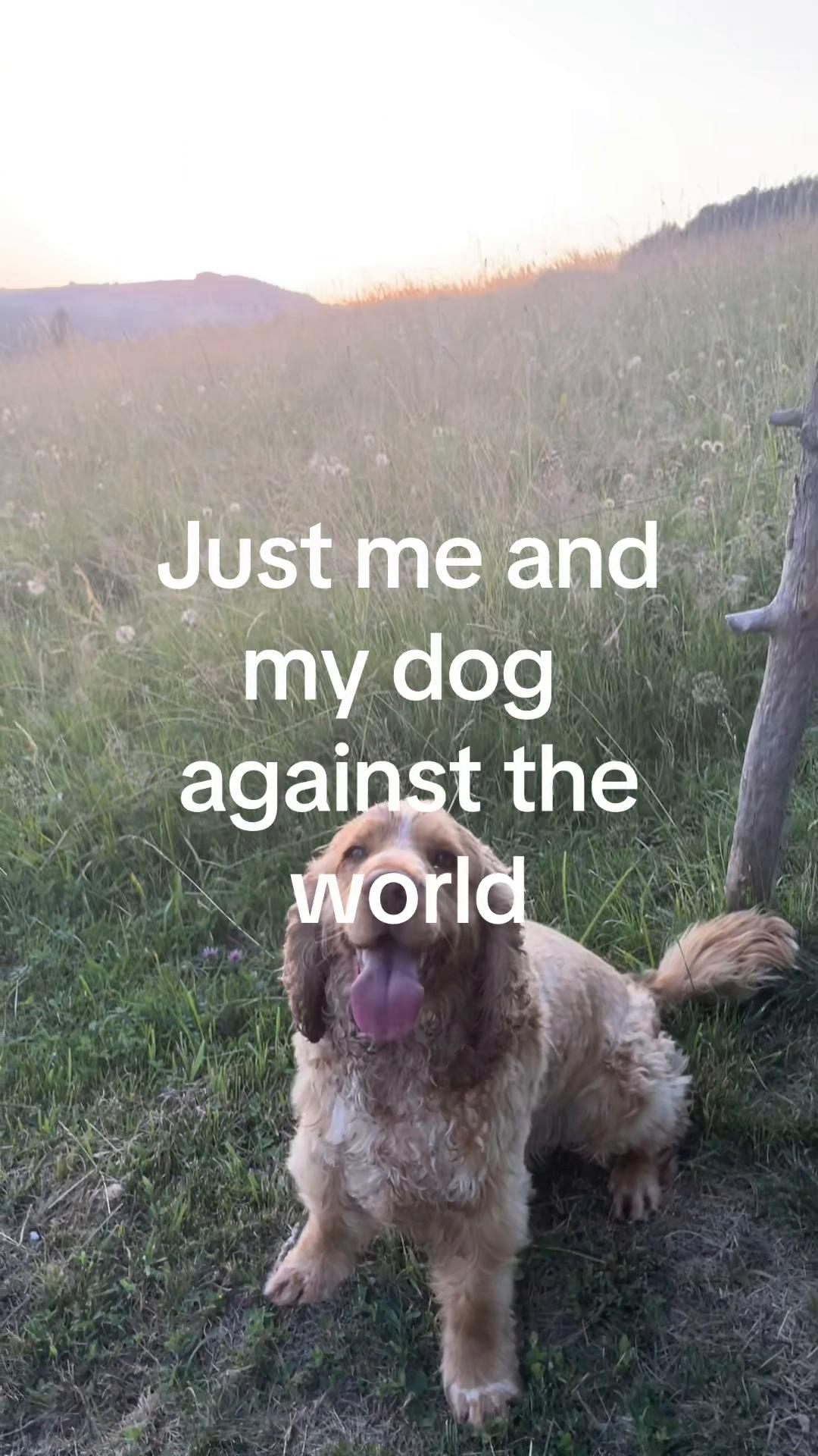 @en