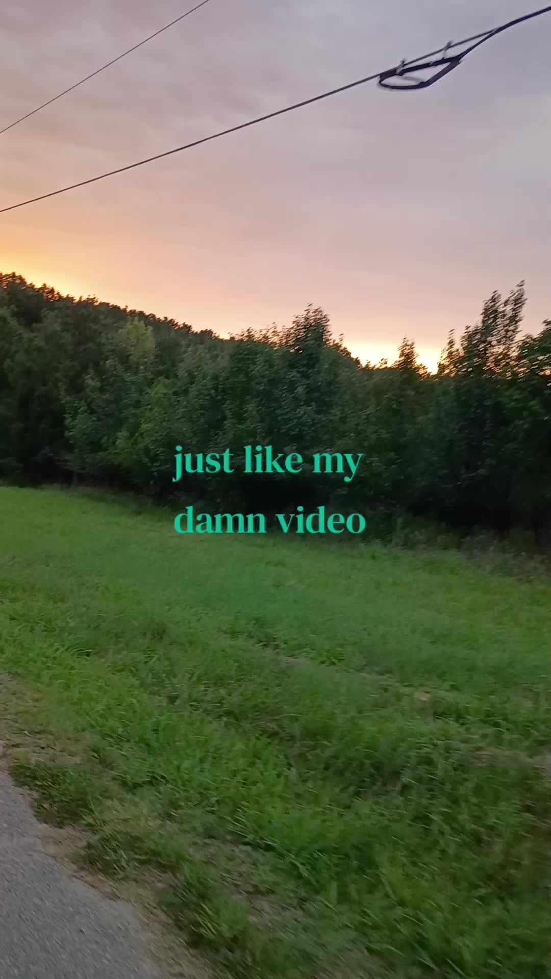 @ann🪽