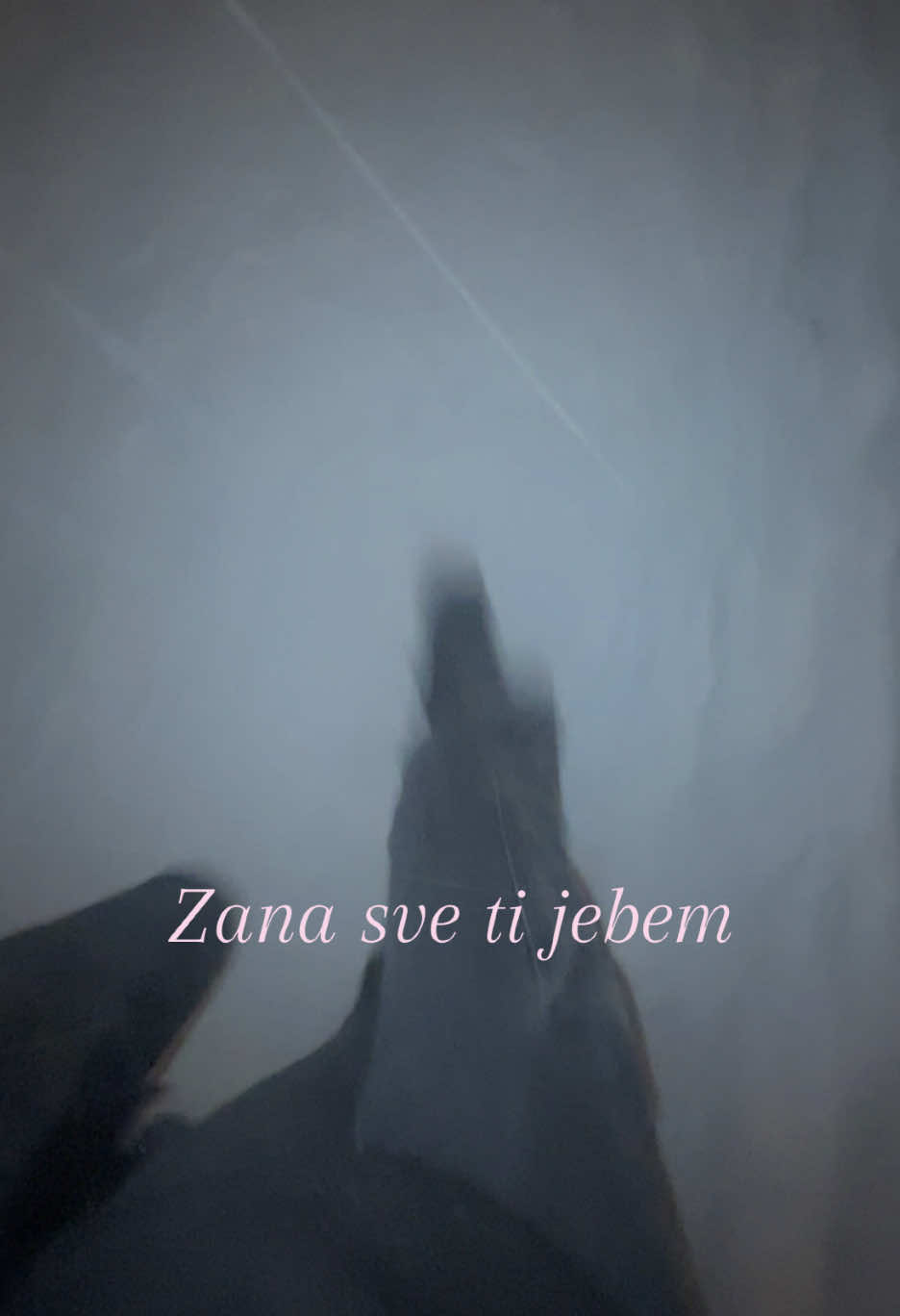 @Sara メ𝟶