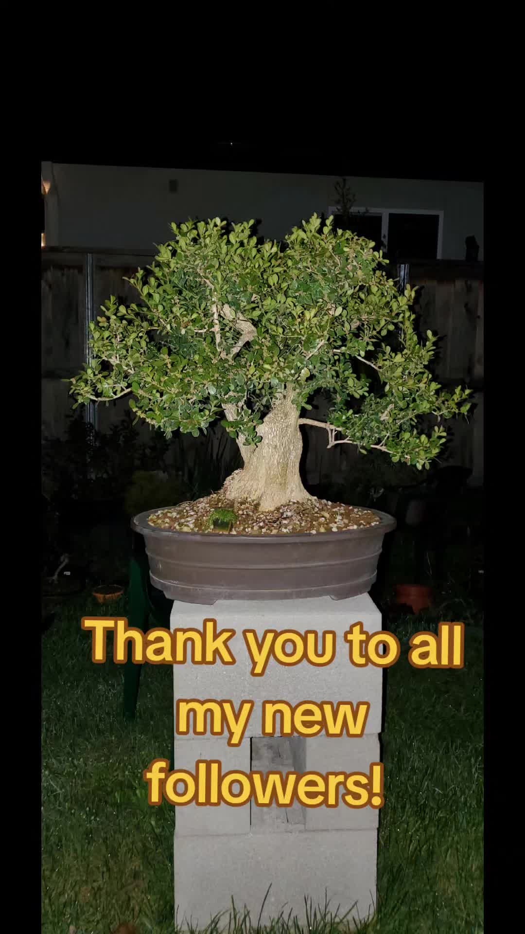 @BetaRayBill