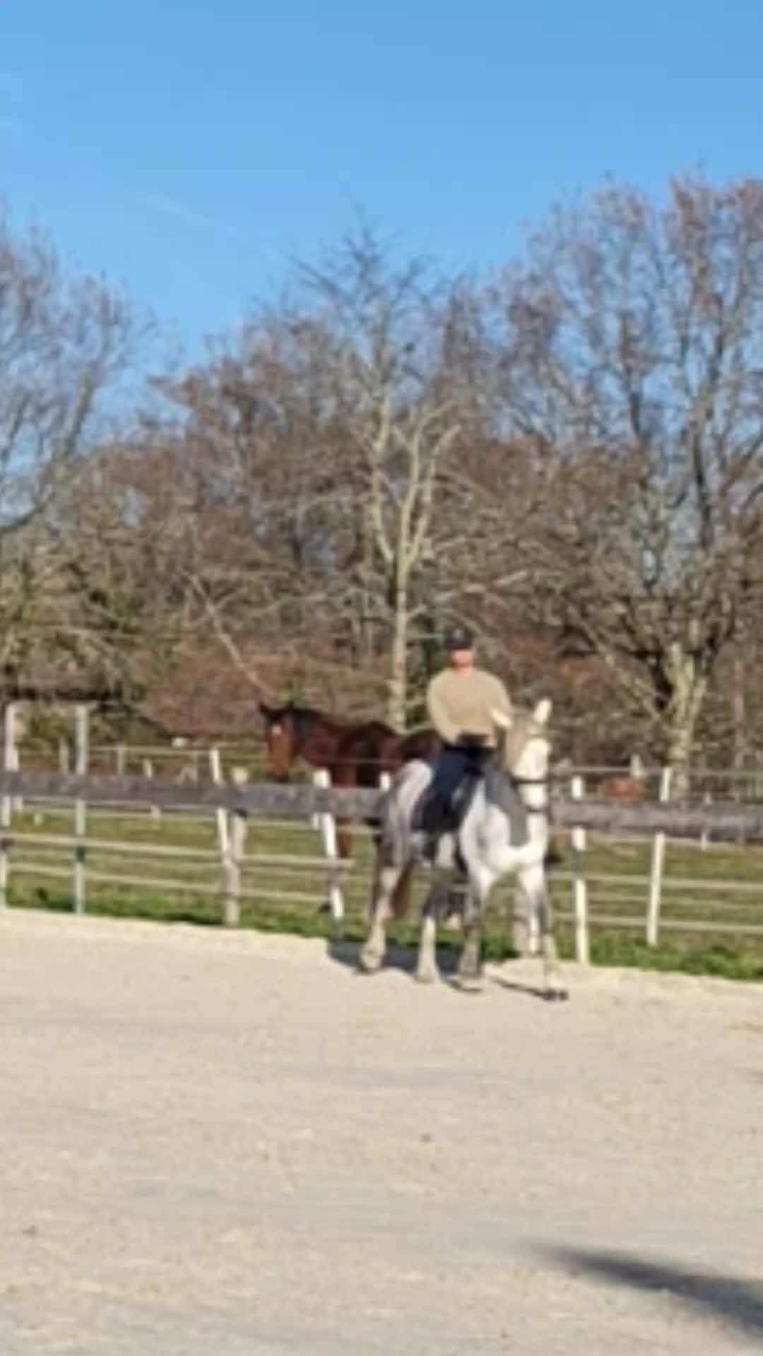 @Une.fleur.a.cheval