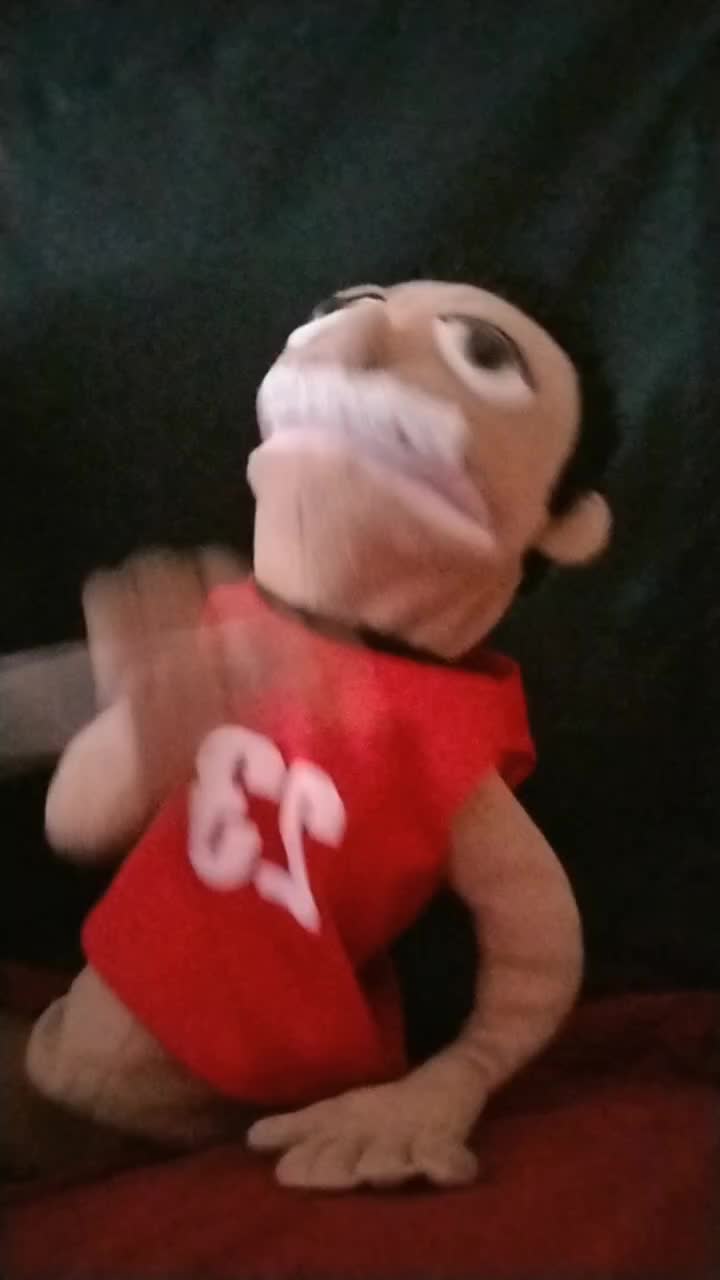 @puppet master