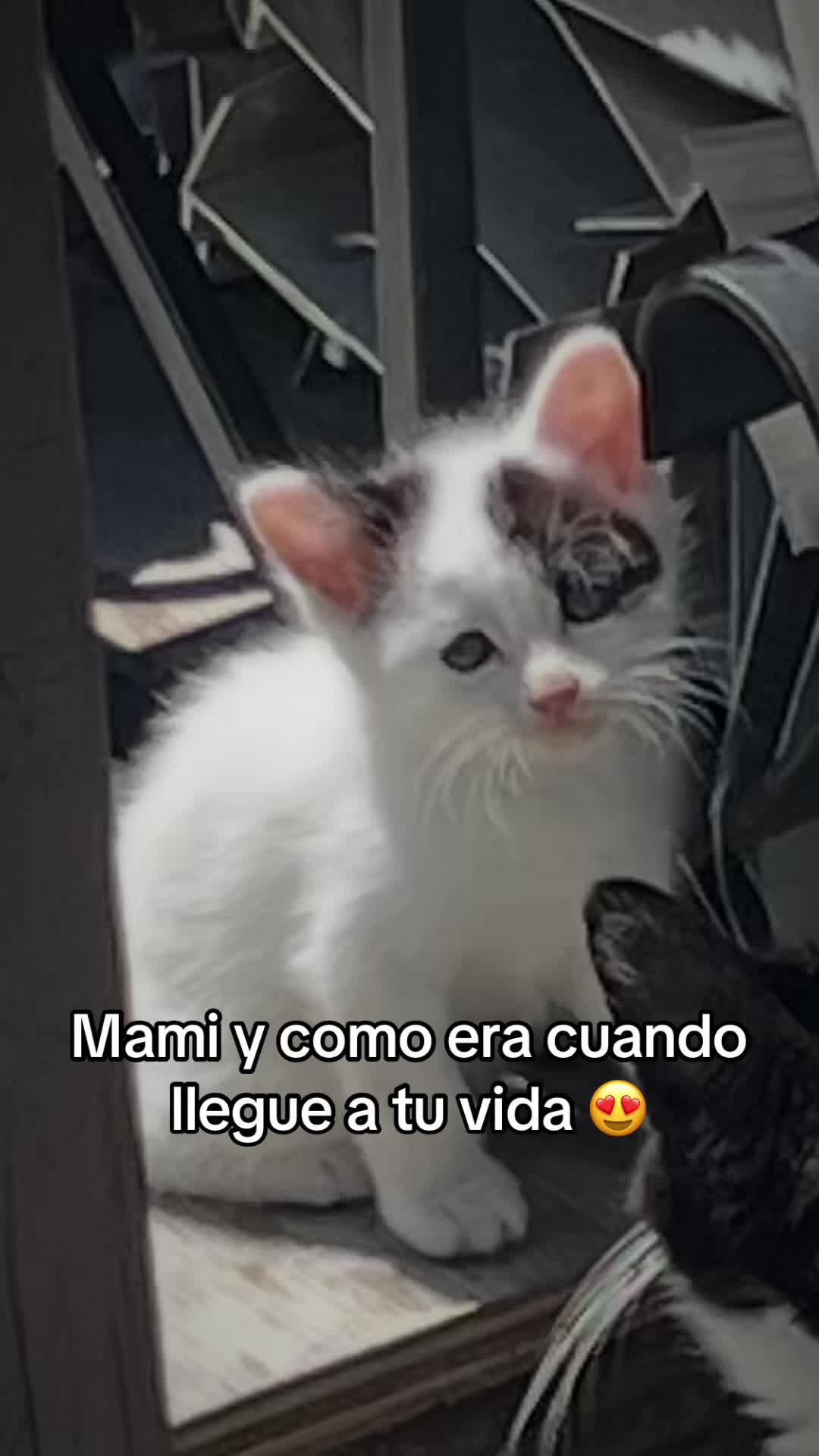@Nana Valero
