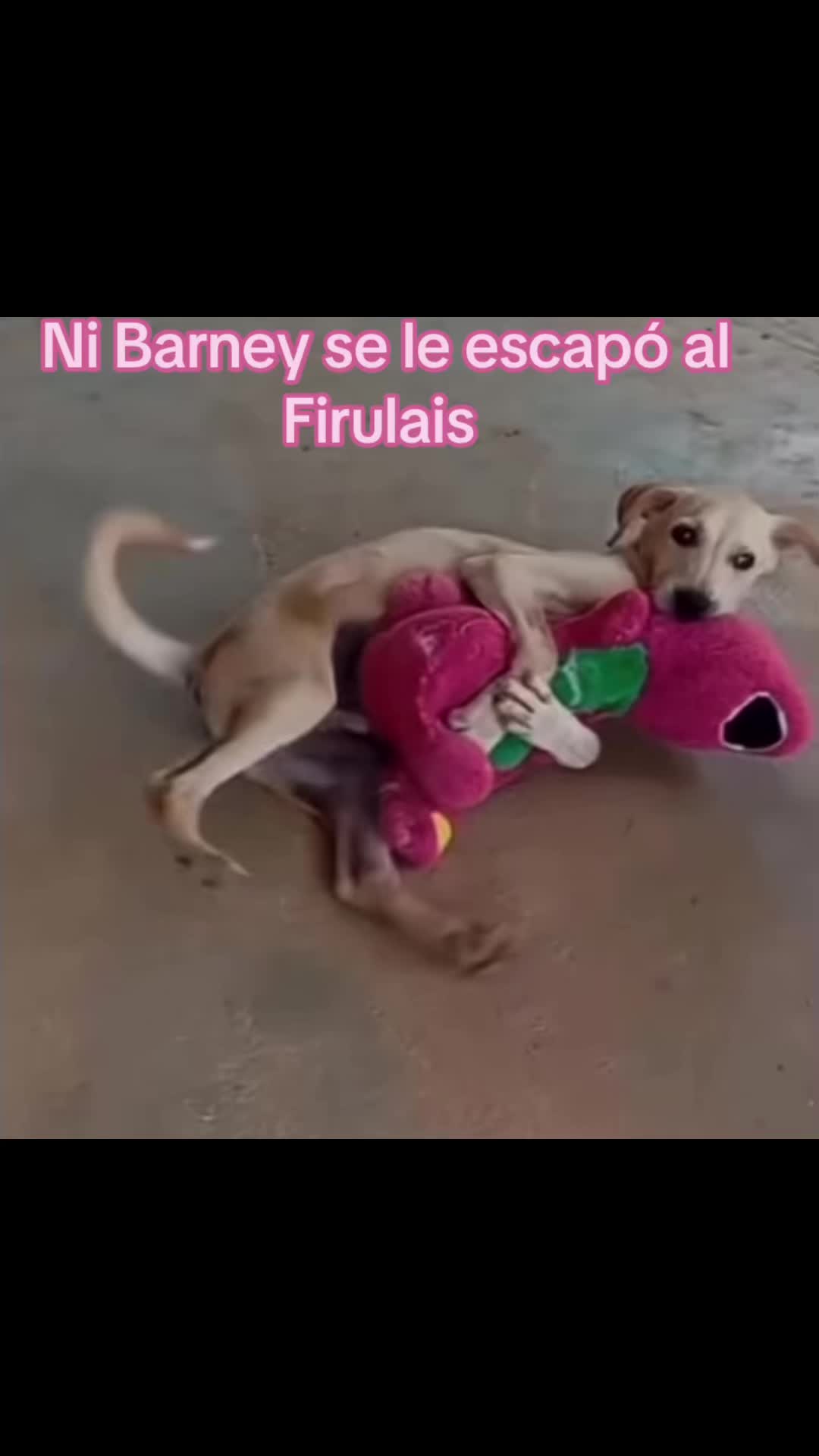 @Carlos el del A/C