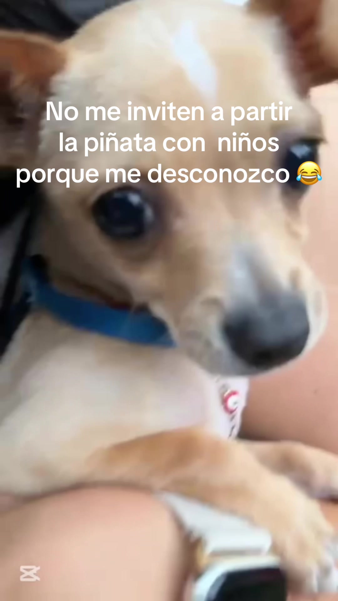 @Esmeralda Palacios