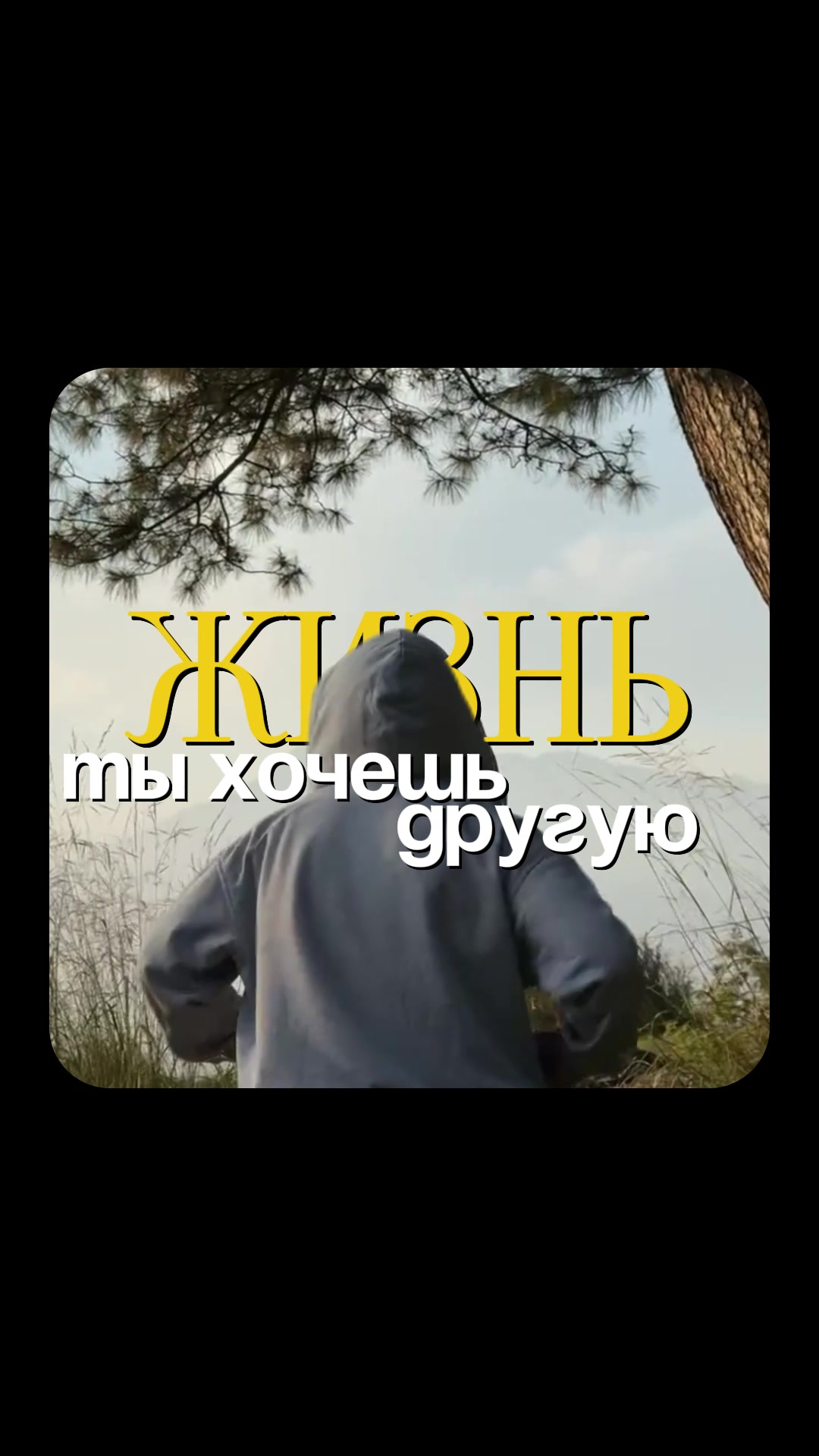 @Lunex