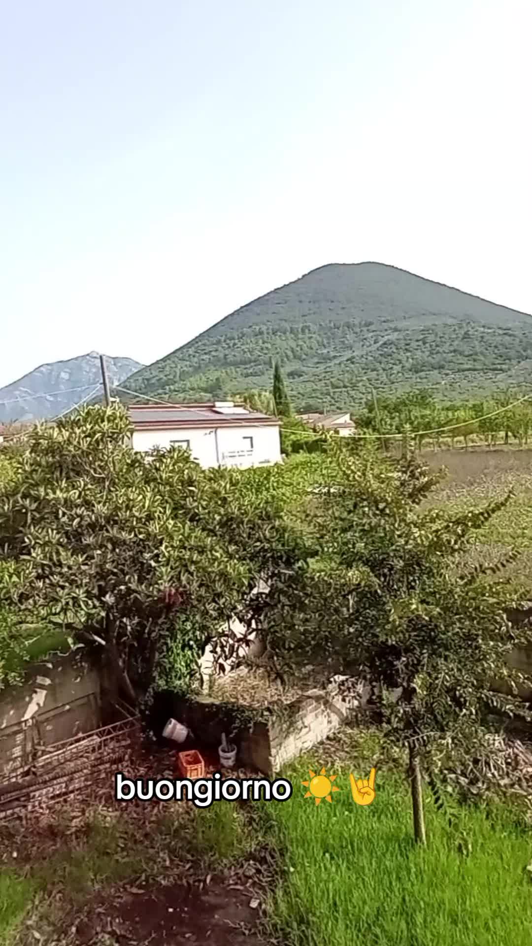 @Salvatore