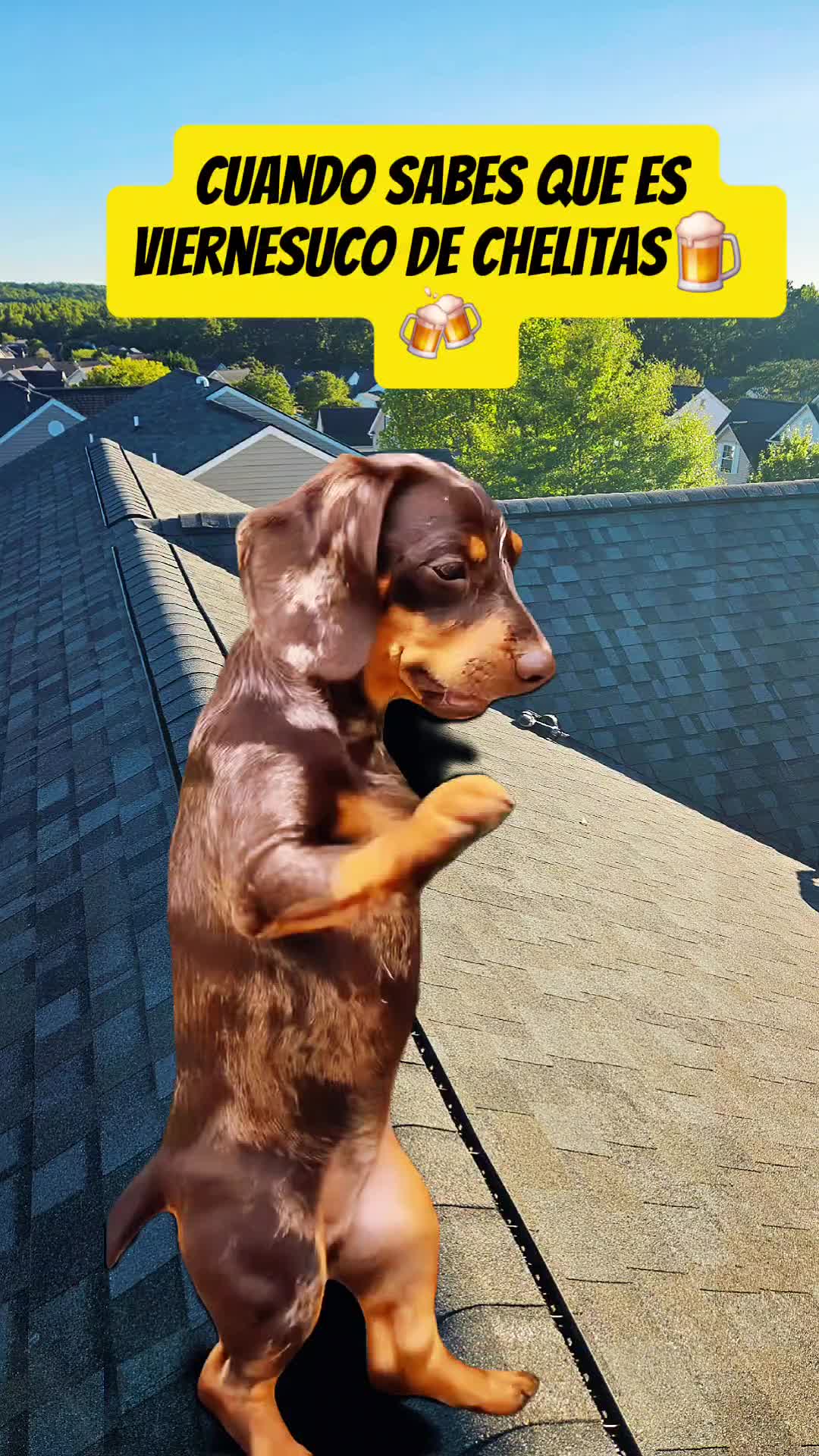 @Hugo roofing
