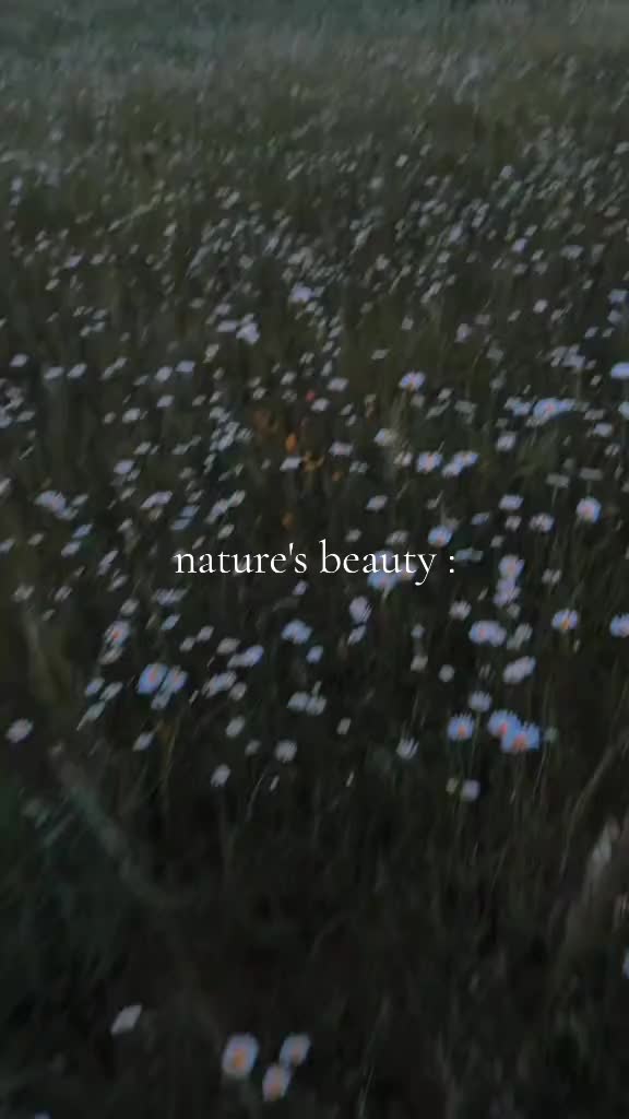 @aestheticworld