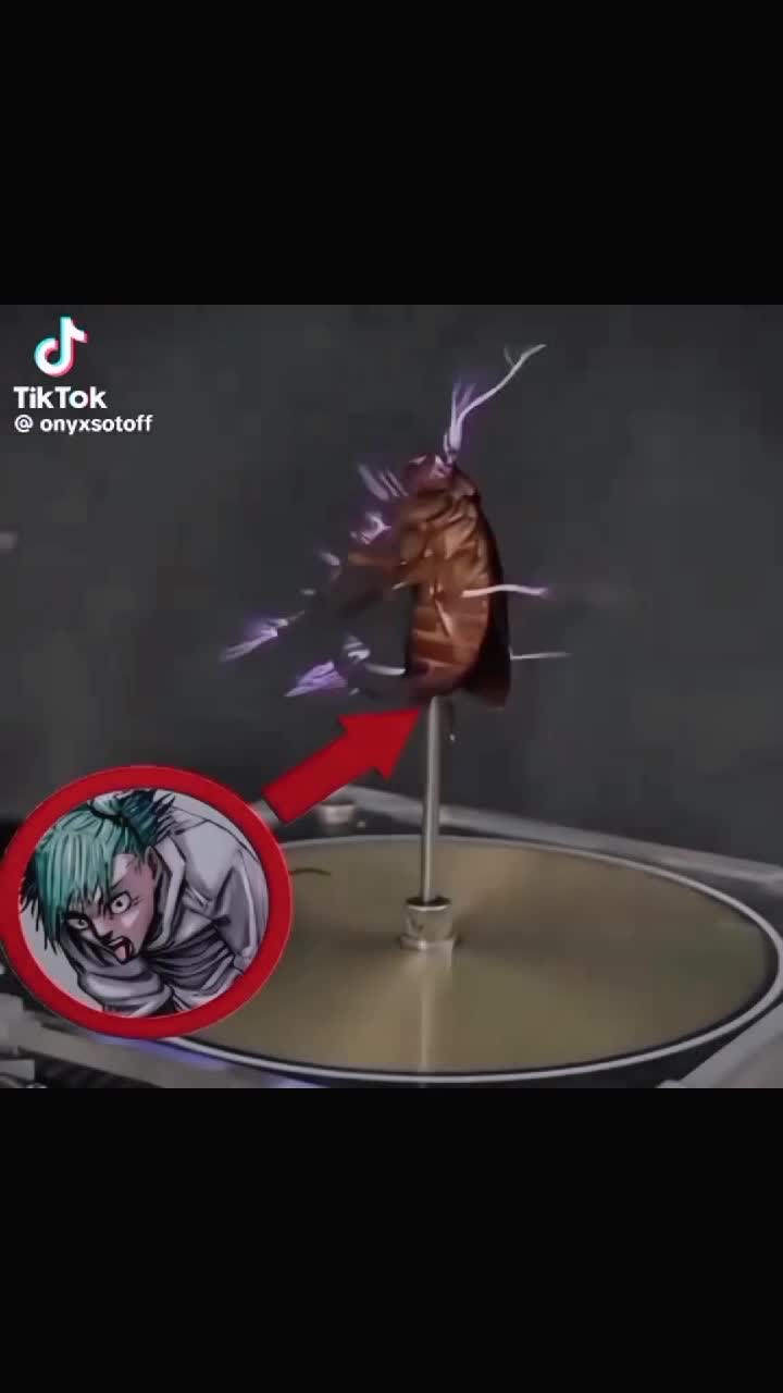 @🍴fork🍴