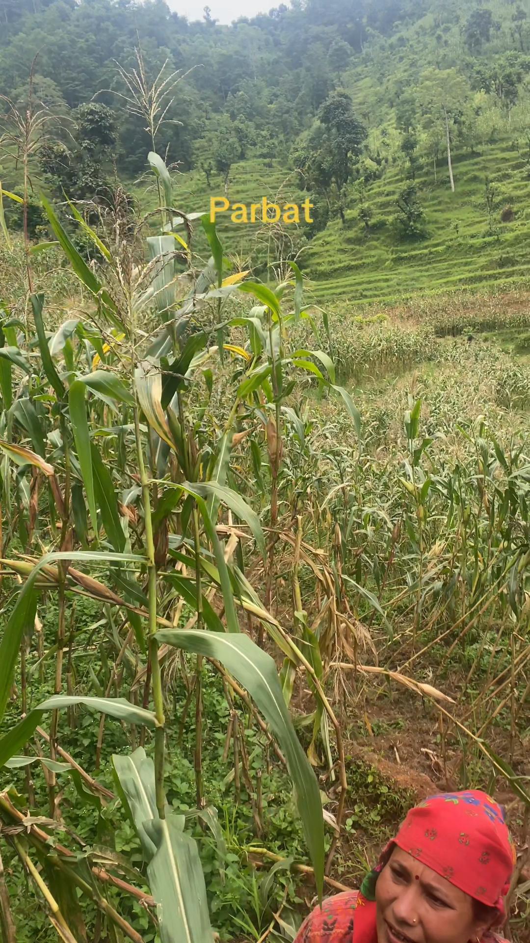 @Punam Malla Thakuri