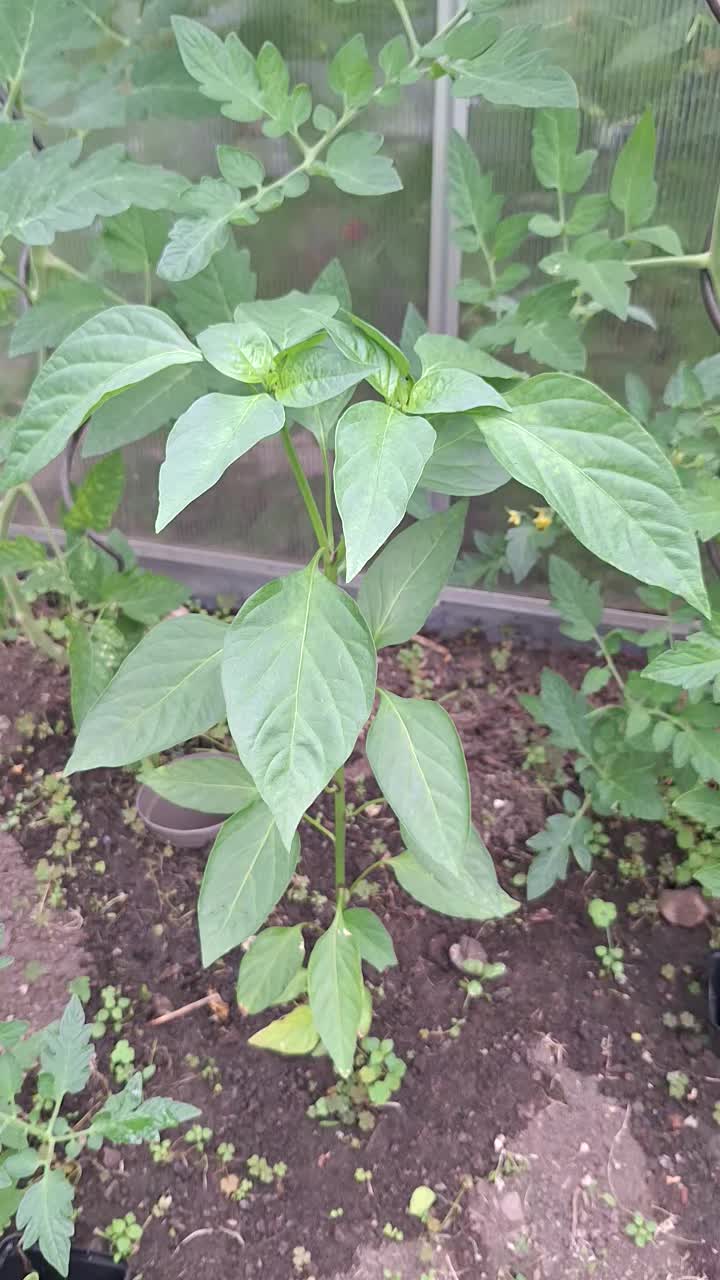 @Natur und Garten