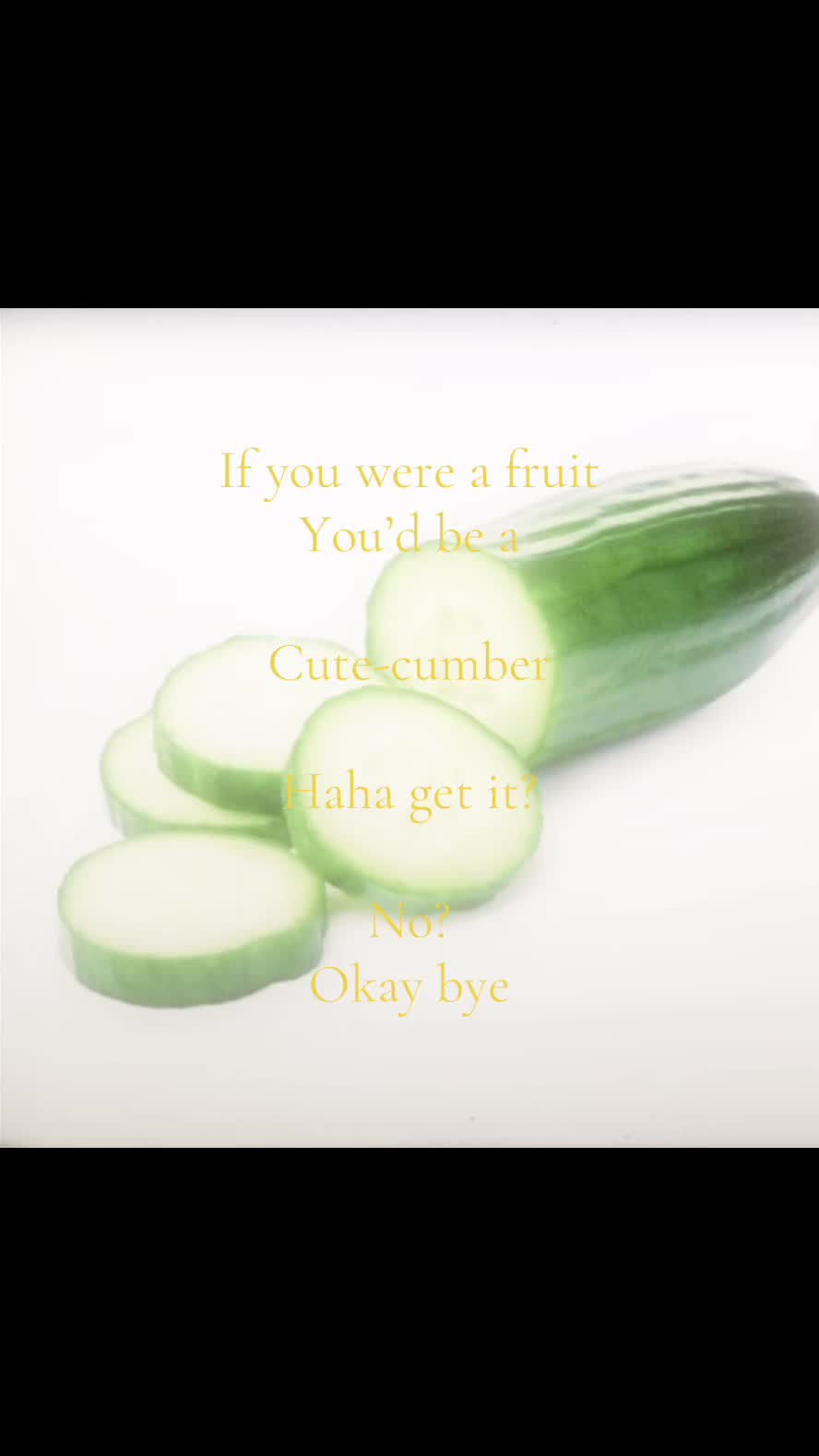 @Apple.pie.lolz