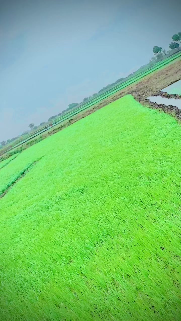 @Vikram karachi0