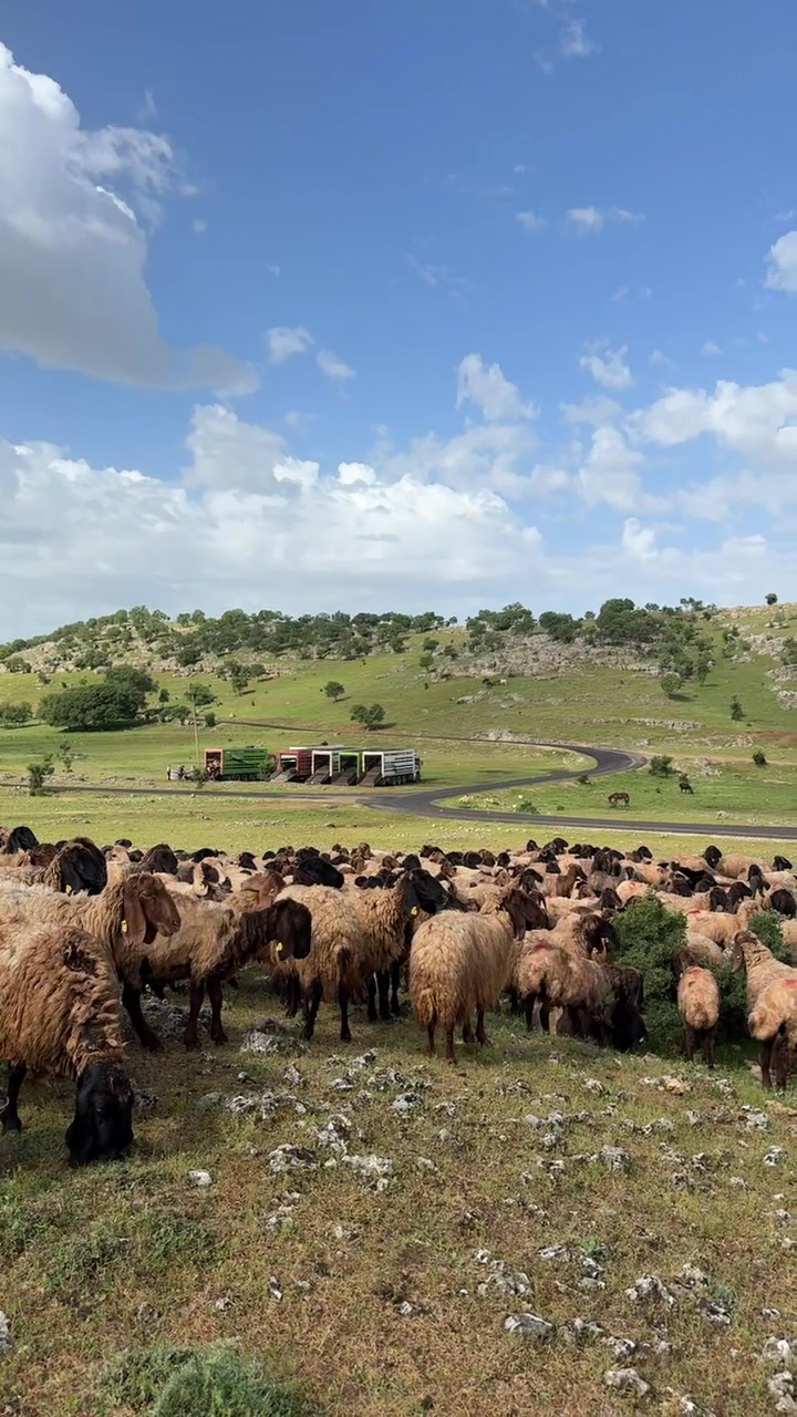 @Yusuf çaplık