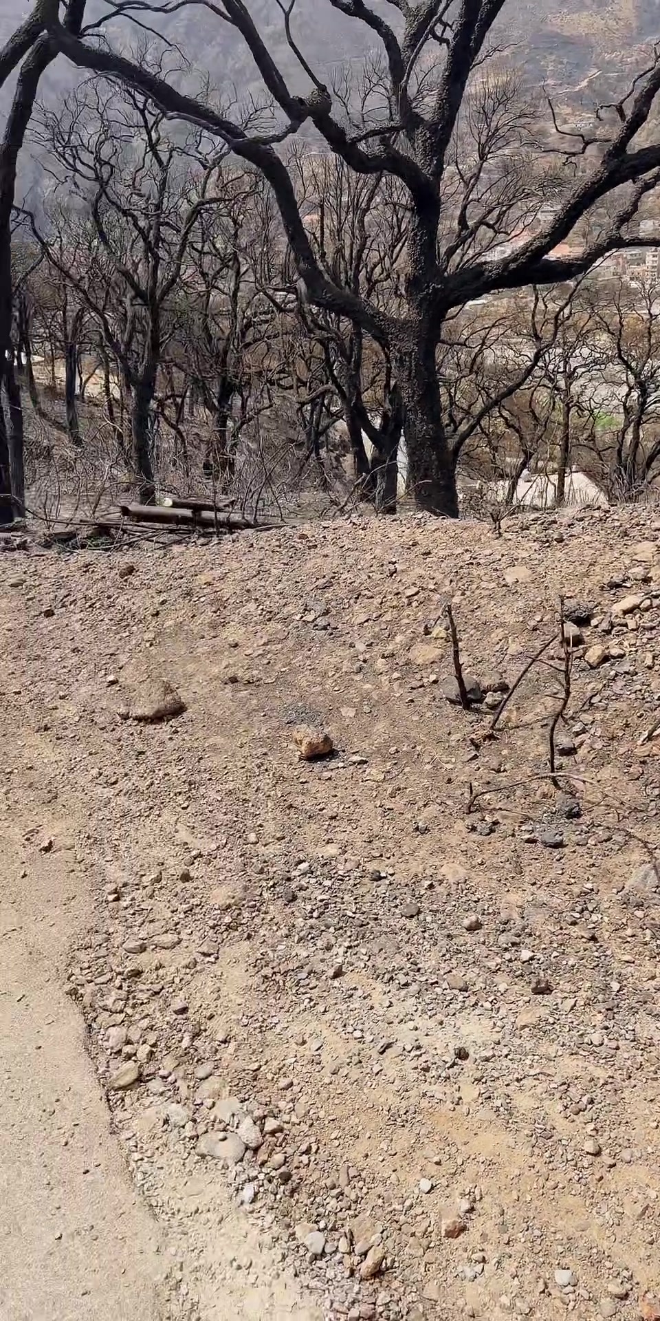 @Maria la frappe🇩🇿