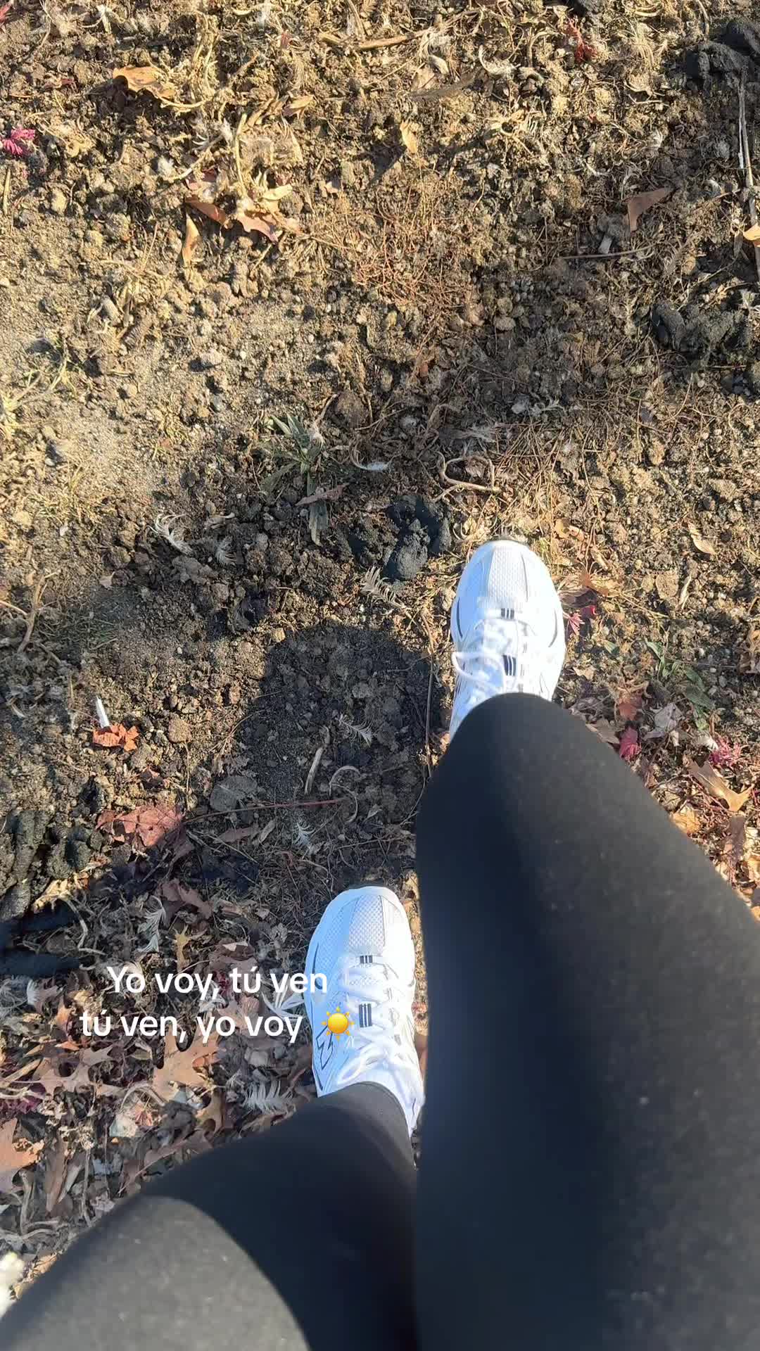 @PameSerpa