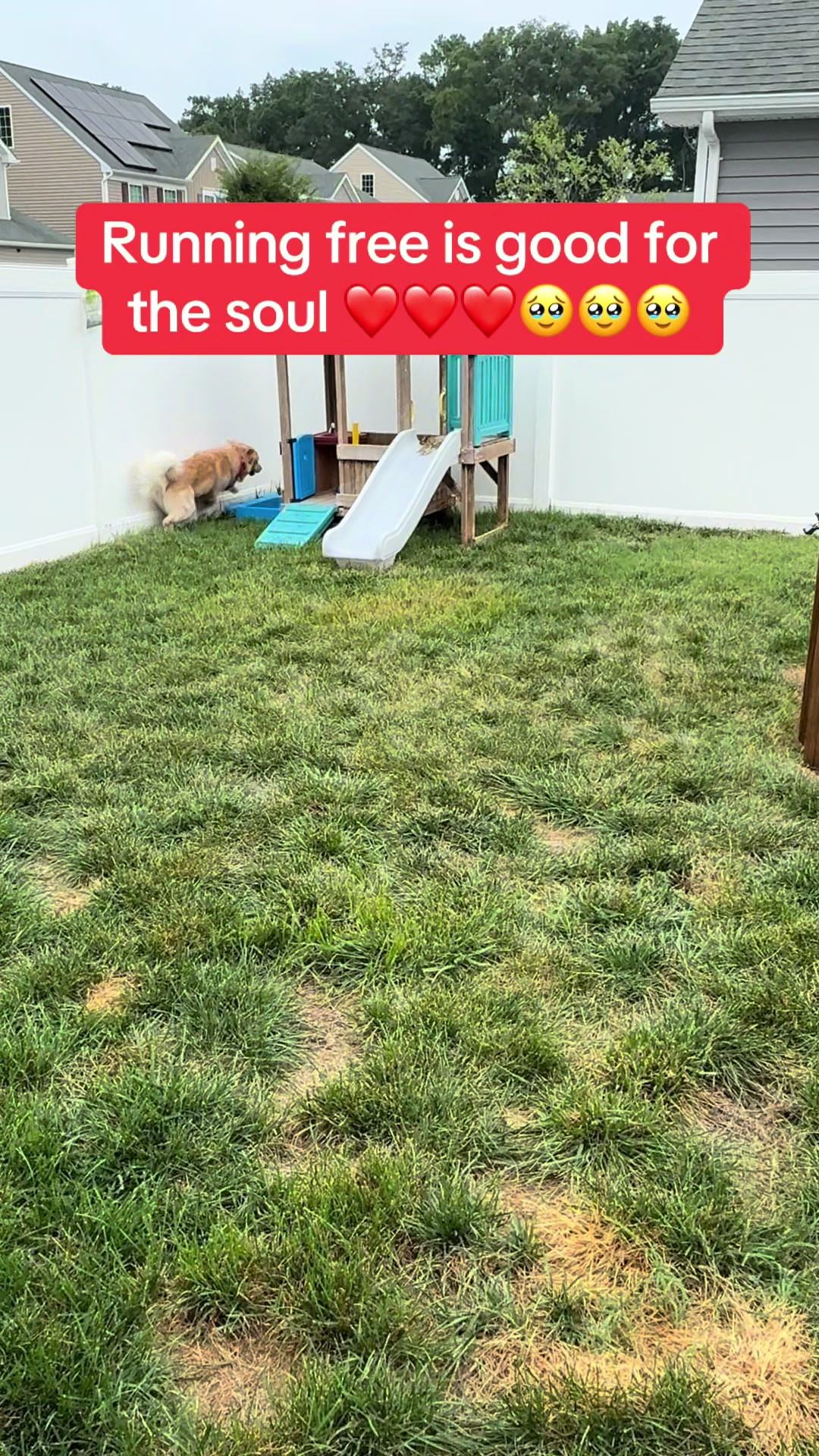 @Tucker_tha_Golden