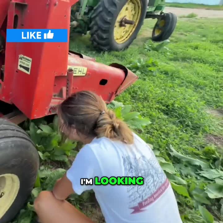 @Farms TV