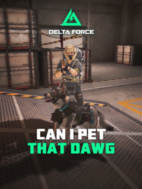@Delta Force Game