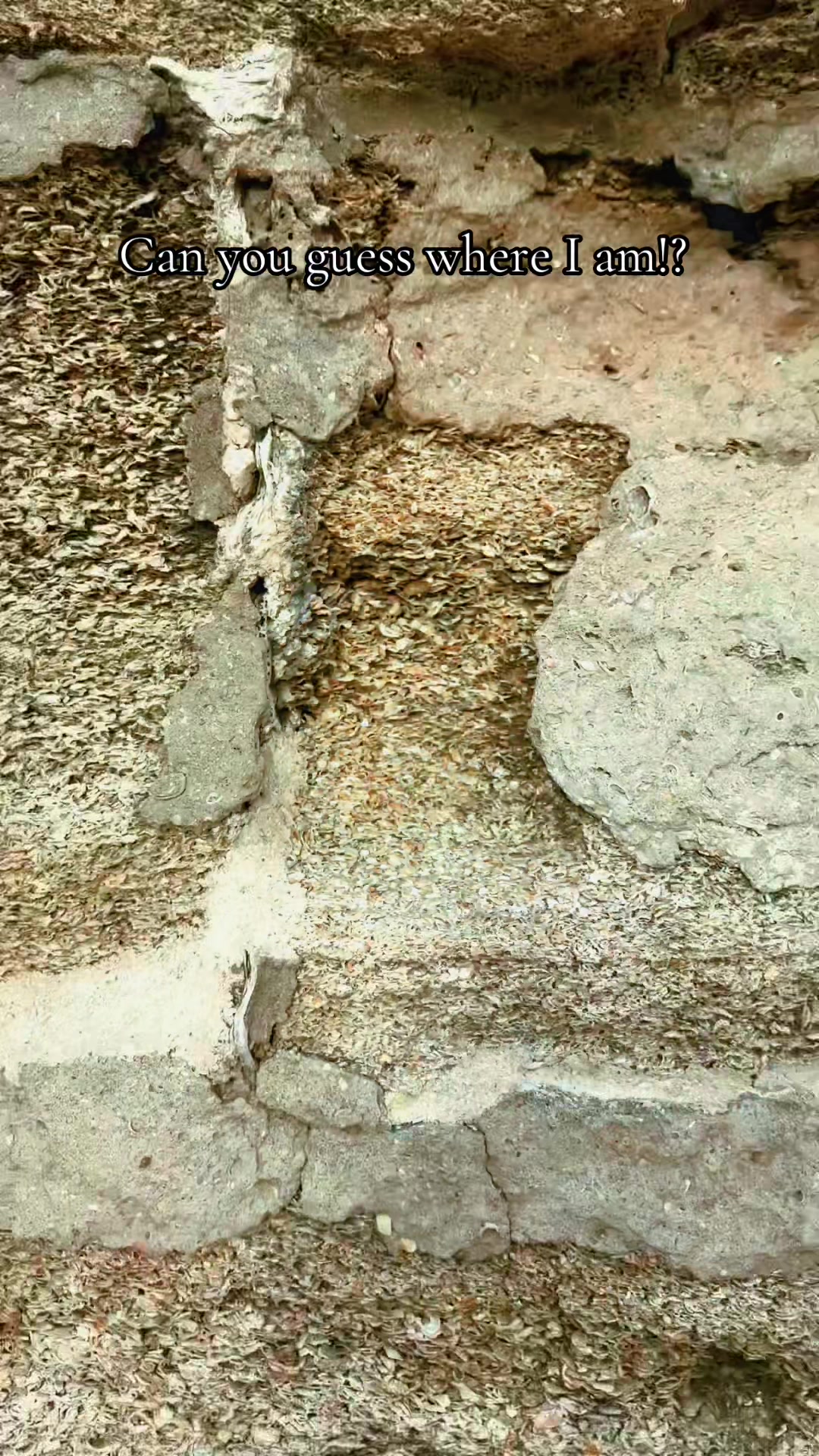 @KEᑎᗪᖇᗩᗩ