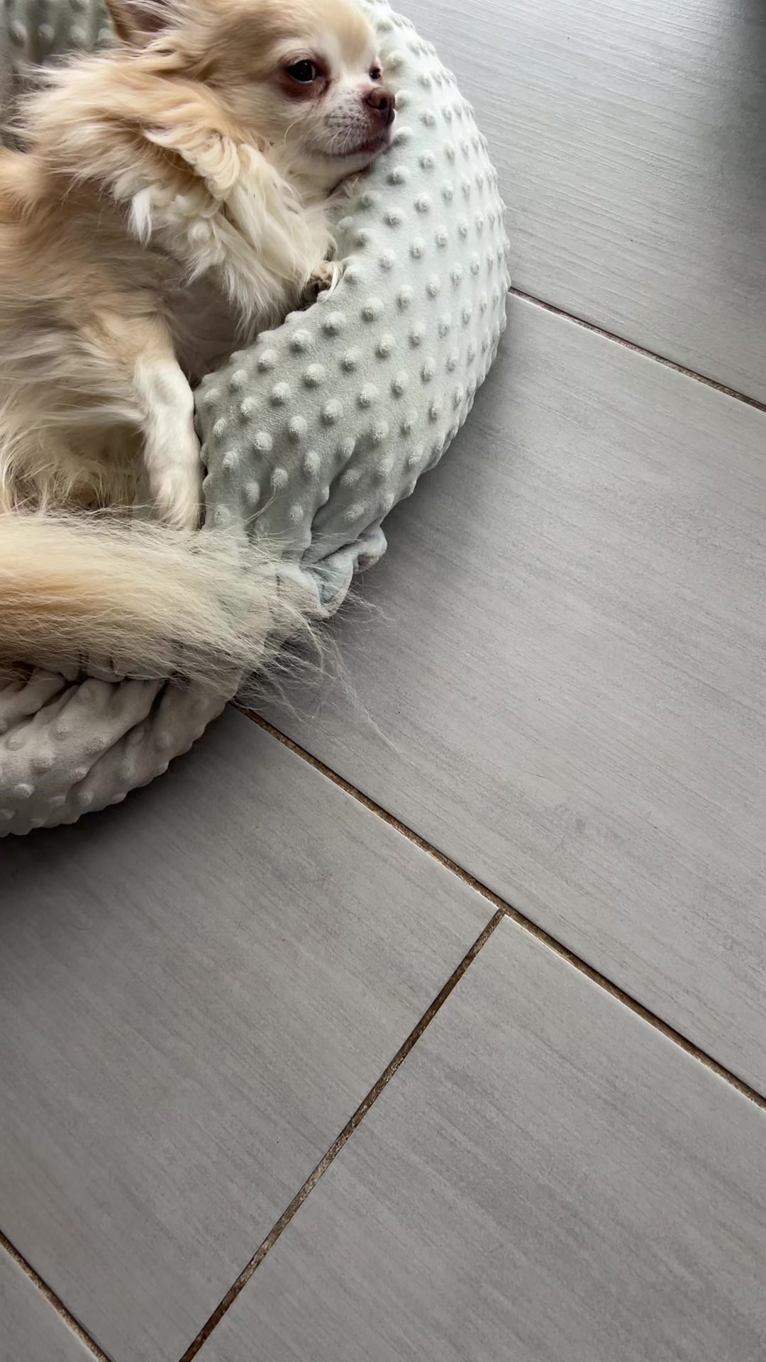 @Stefanie
