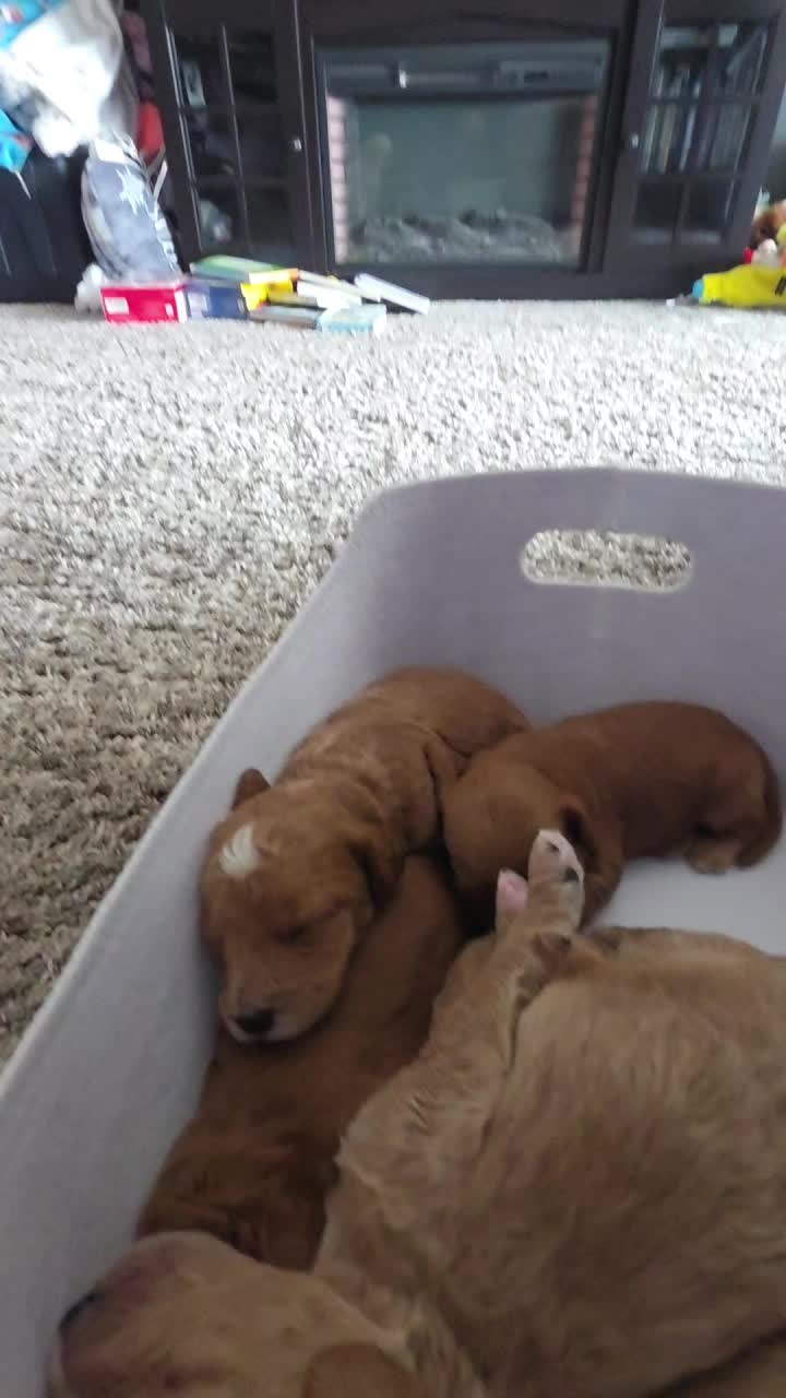 @Kara