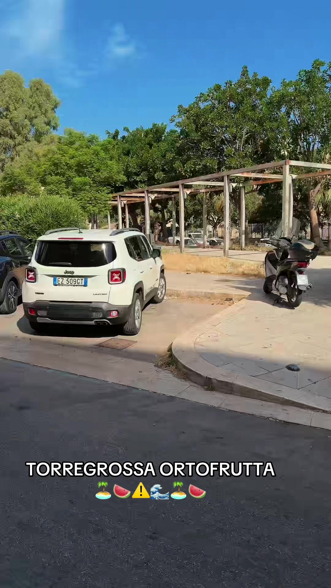 @Torregrossaortofrutta