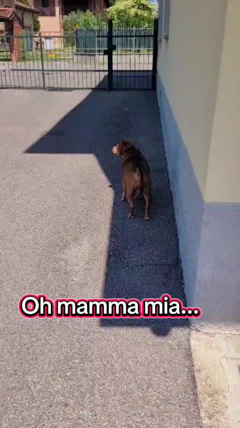 @Benjitoitaliano20