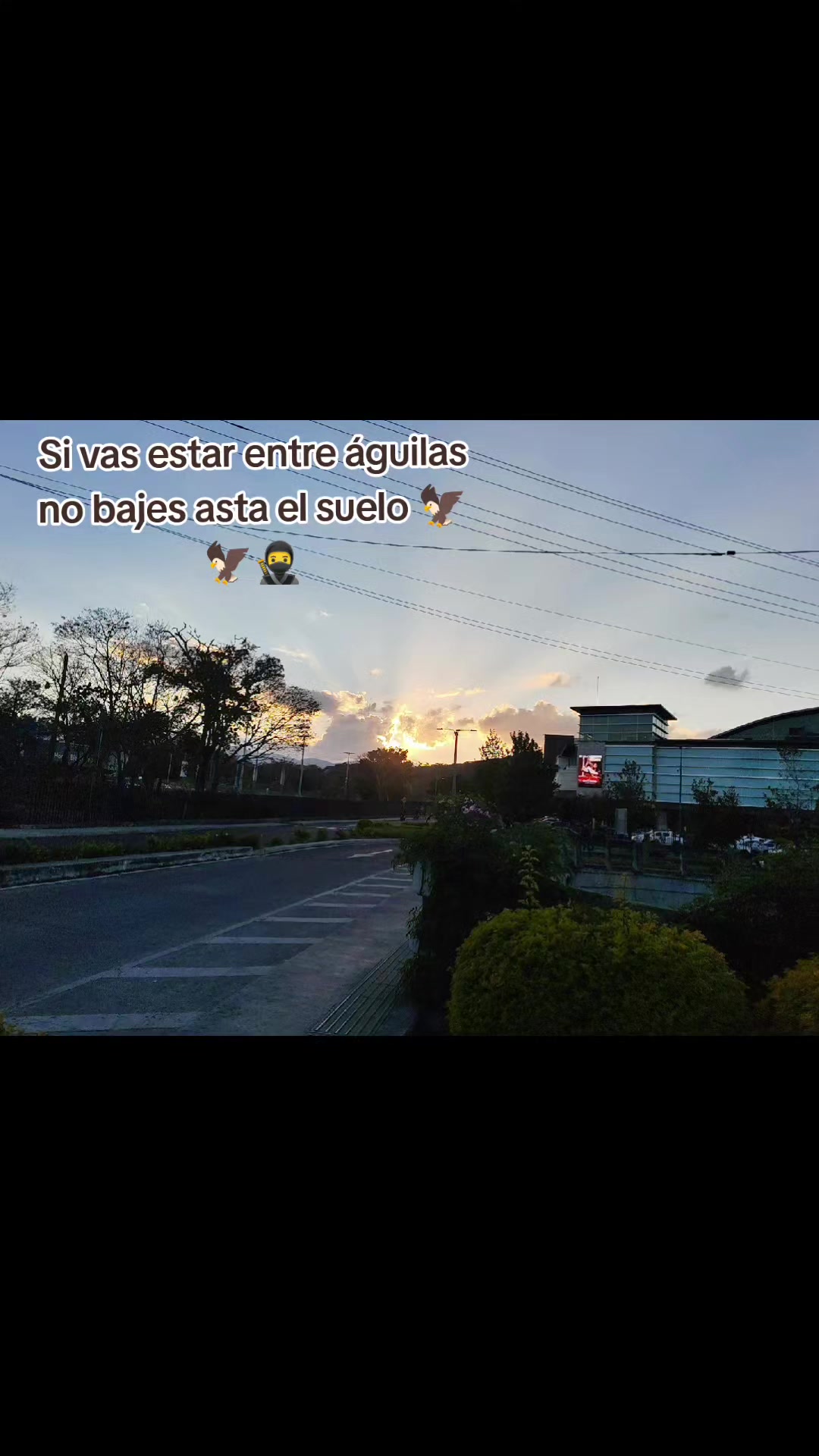 @M&eacute;ndez 🫩🫀