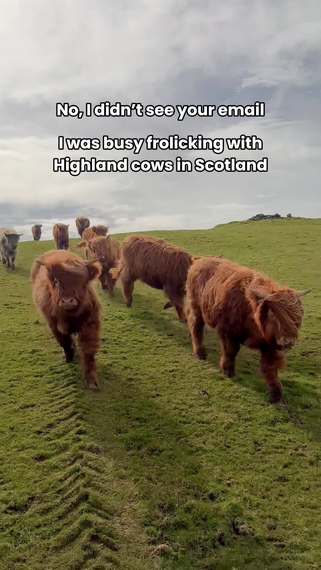 @VisitScotland