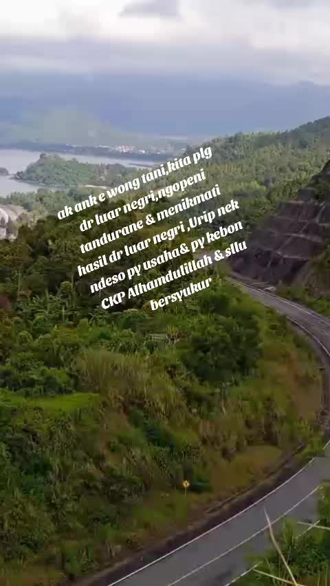 @maysa