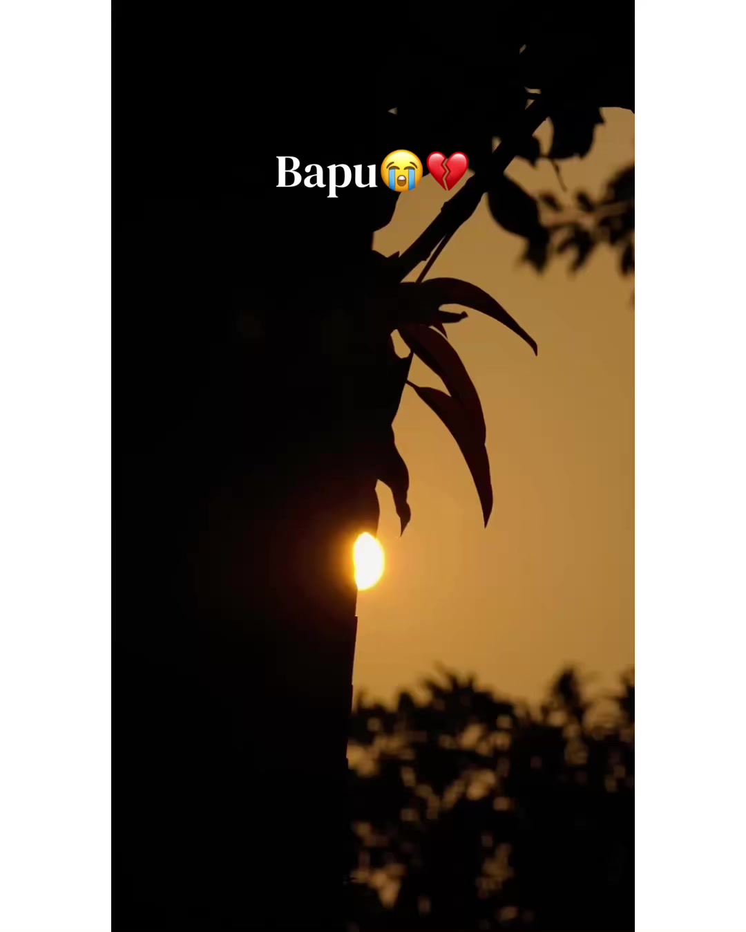 @⚜️𝐊𝐇𝐎𝐊𝐇𝐀𝐑❤️🩹
