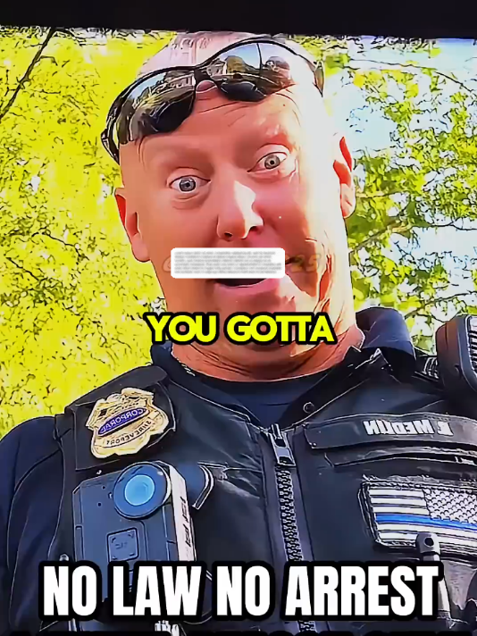@Inspector Clues