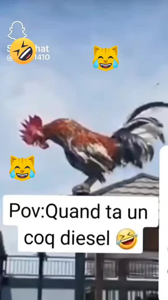 @Jos&eacute;Corse2A