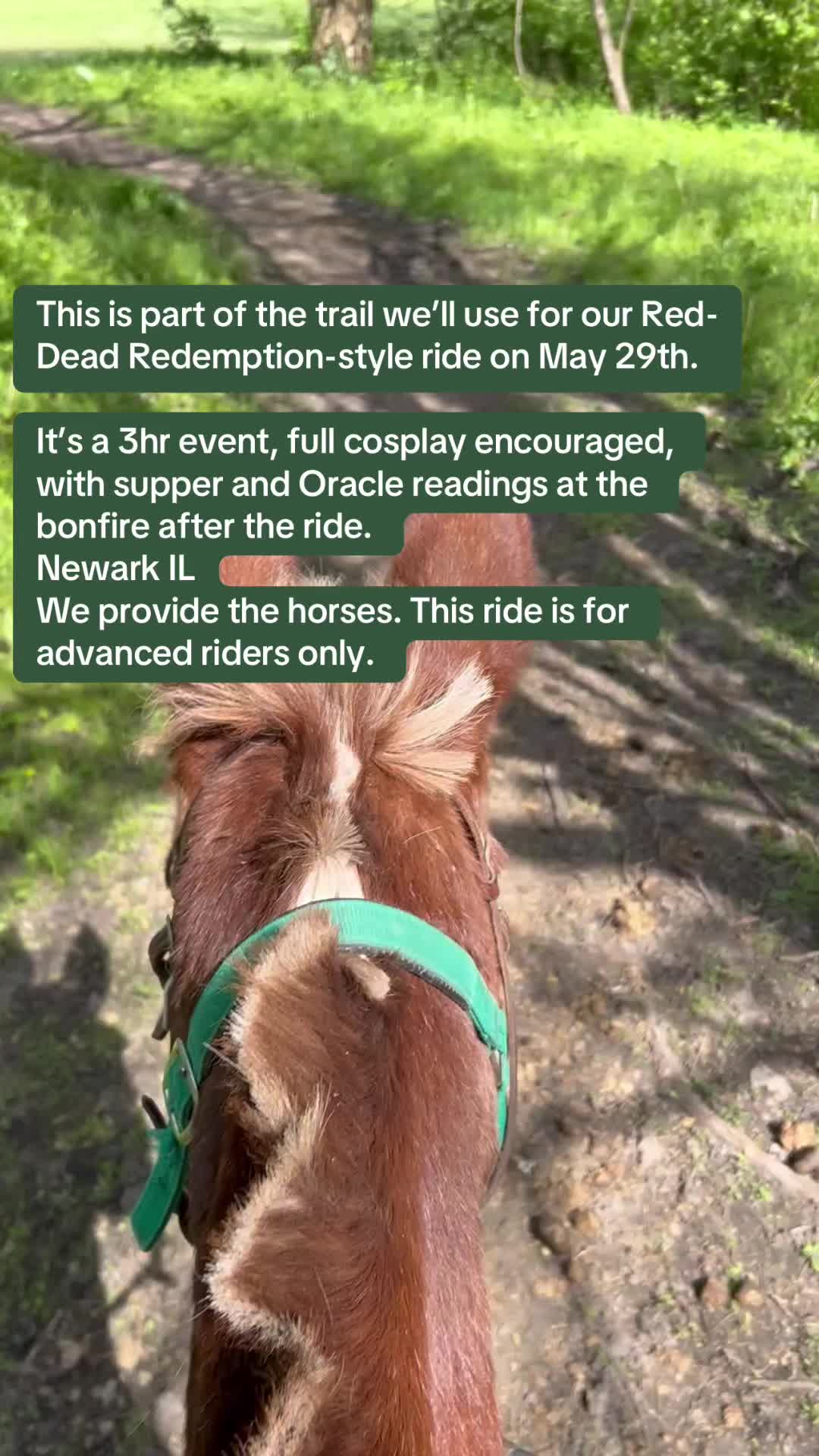 @SaddleSnaps