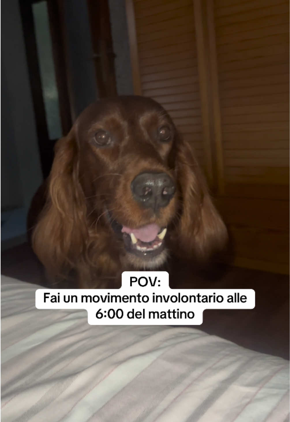 @Rossella Carrieri