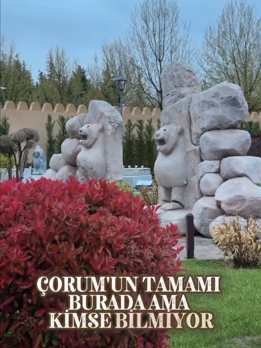 @Avrupadaki_Corumlular_19