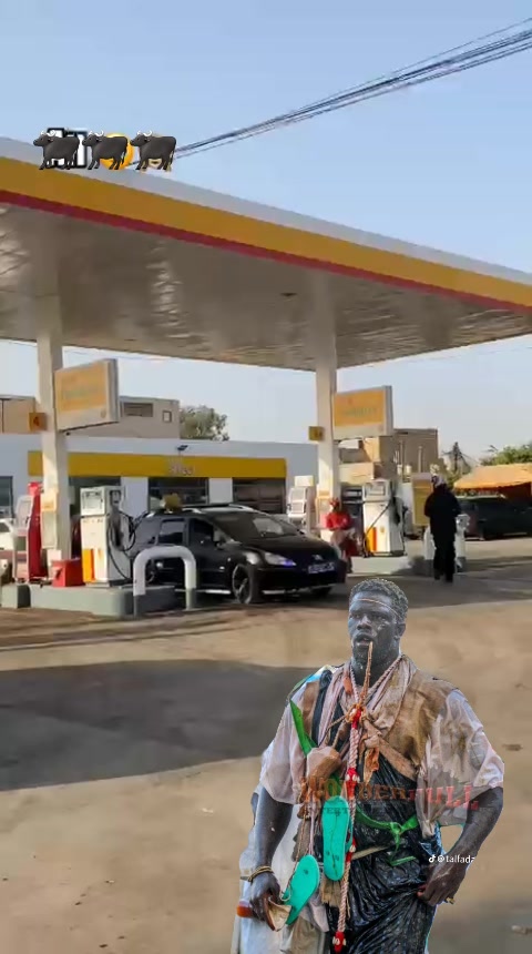 @Modou bou Borom diall bii