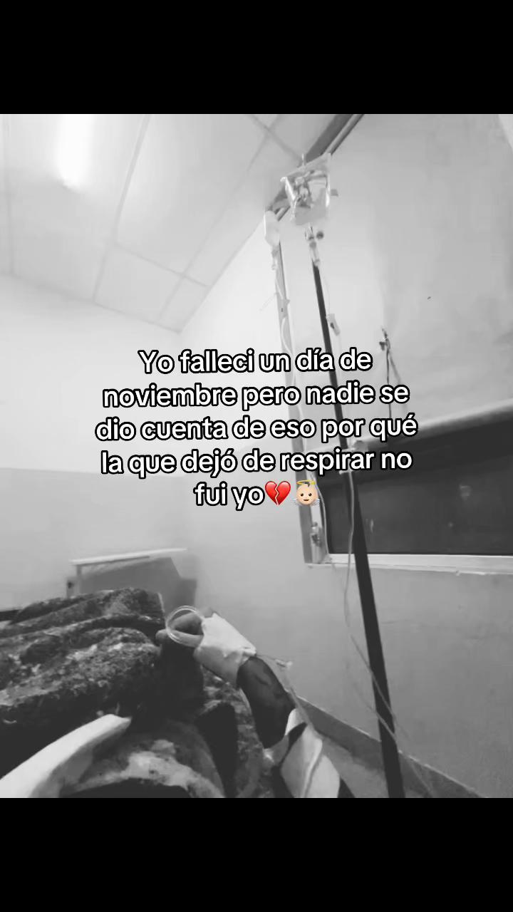 @Giane Vecellio