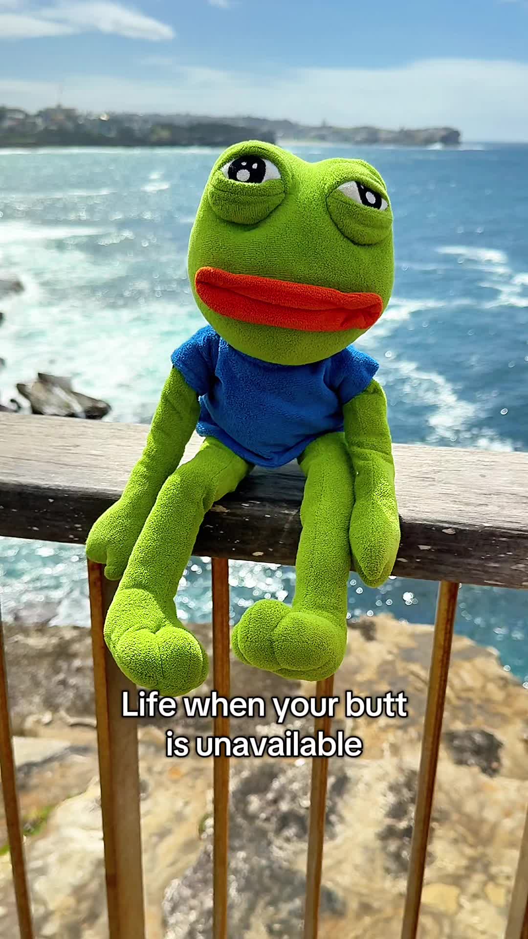 @AdoptAPepe