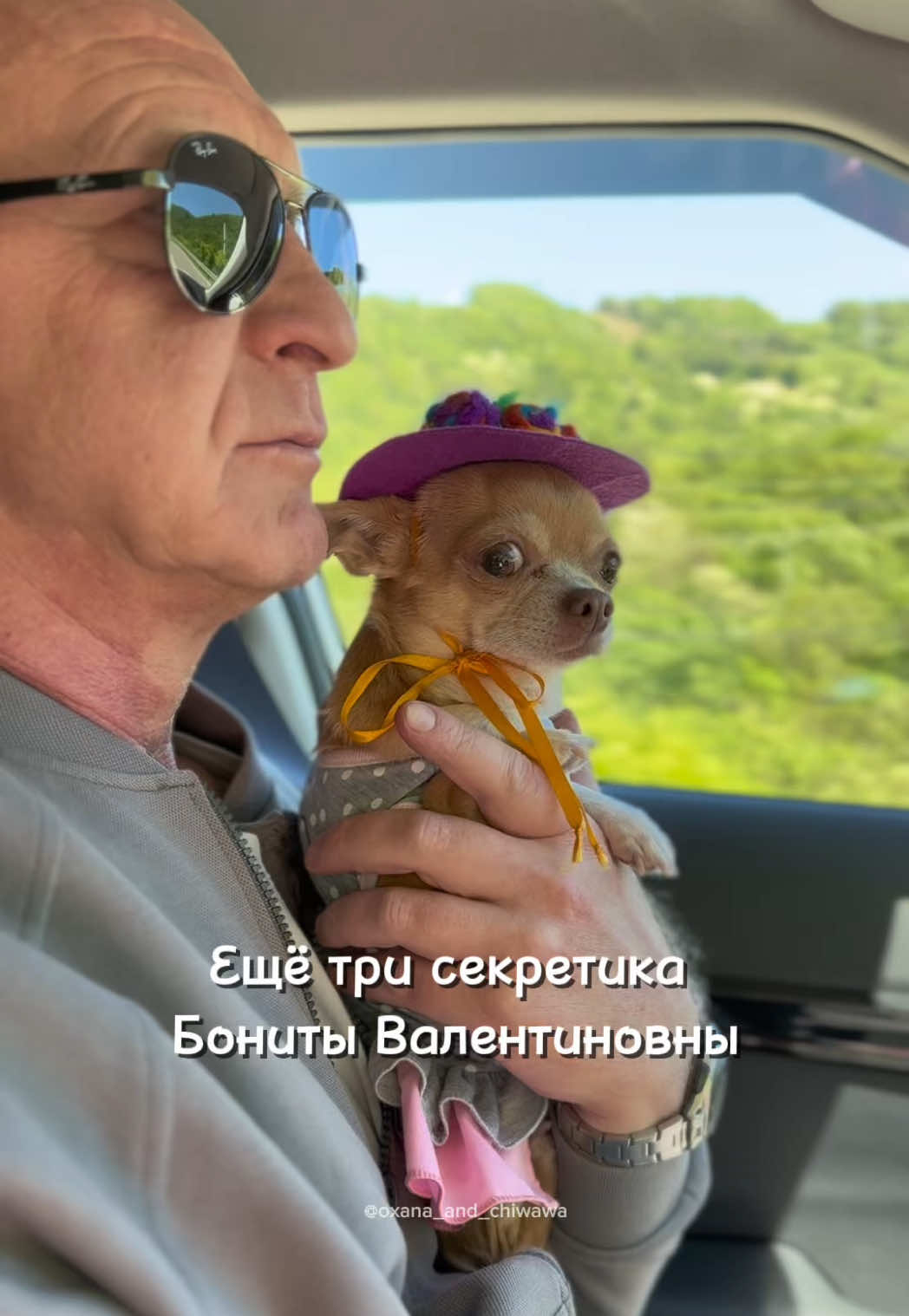 @Оксана & Чихуахуа Бонита