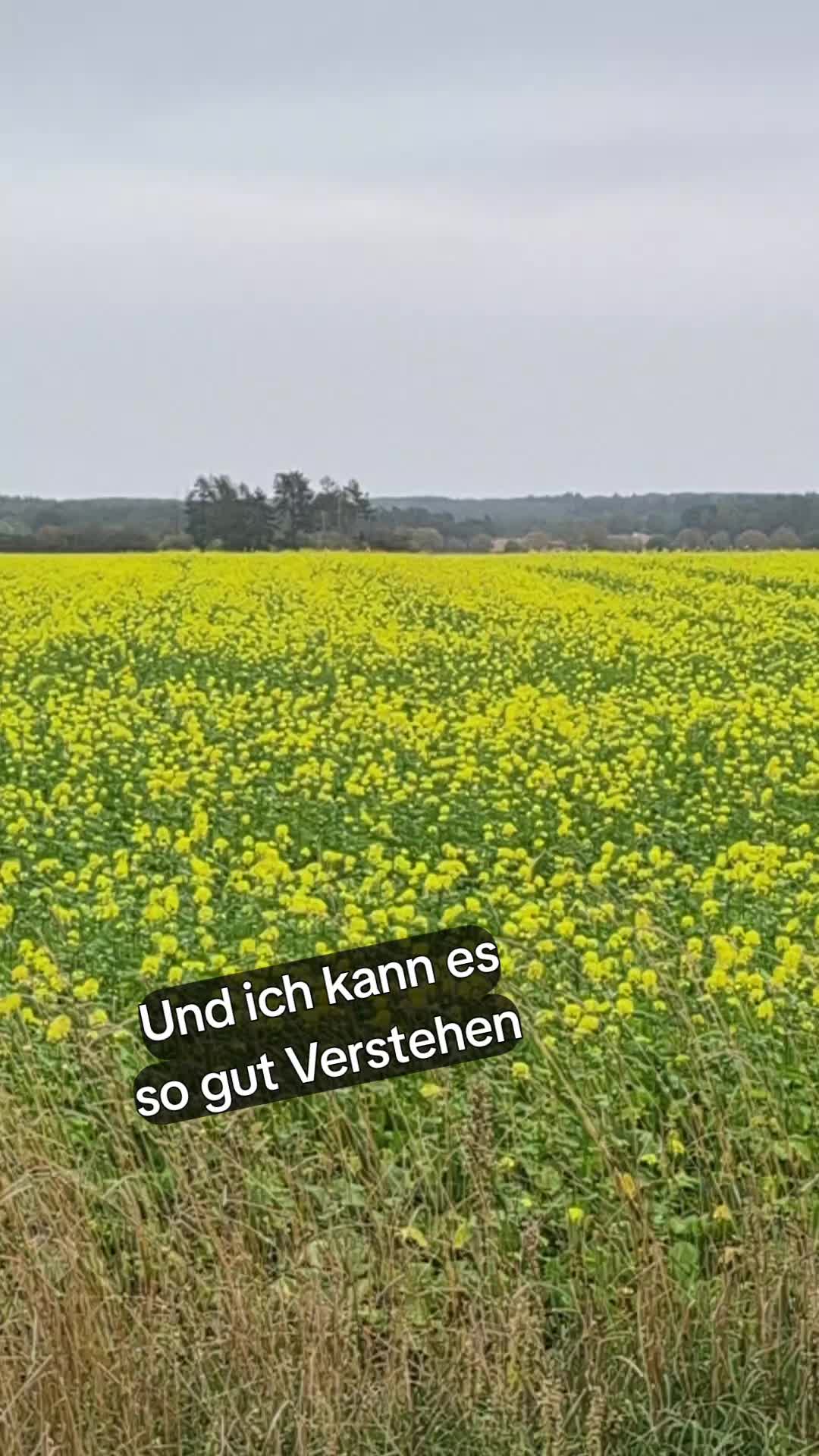 @Dennis Holstein