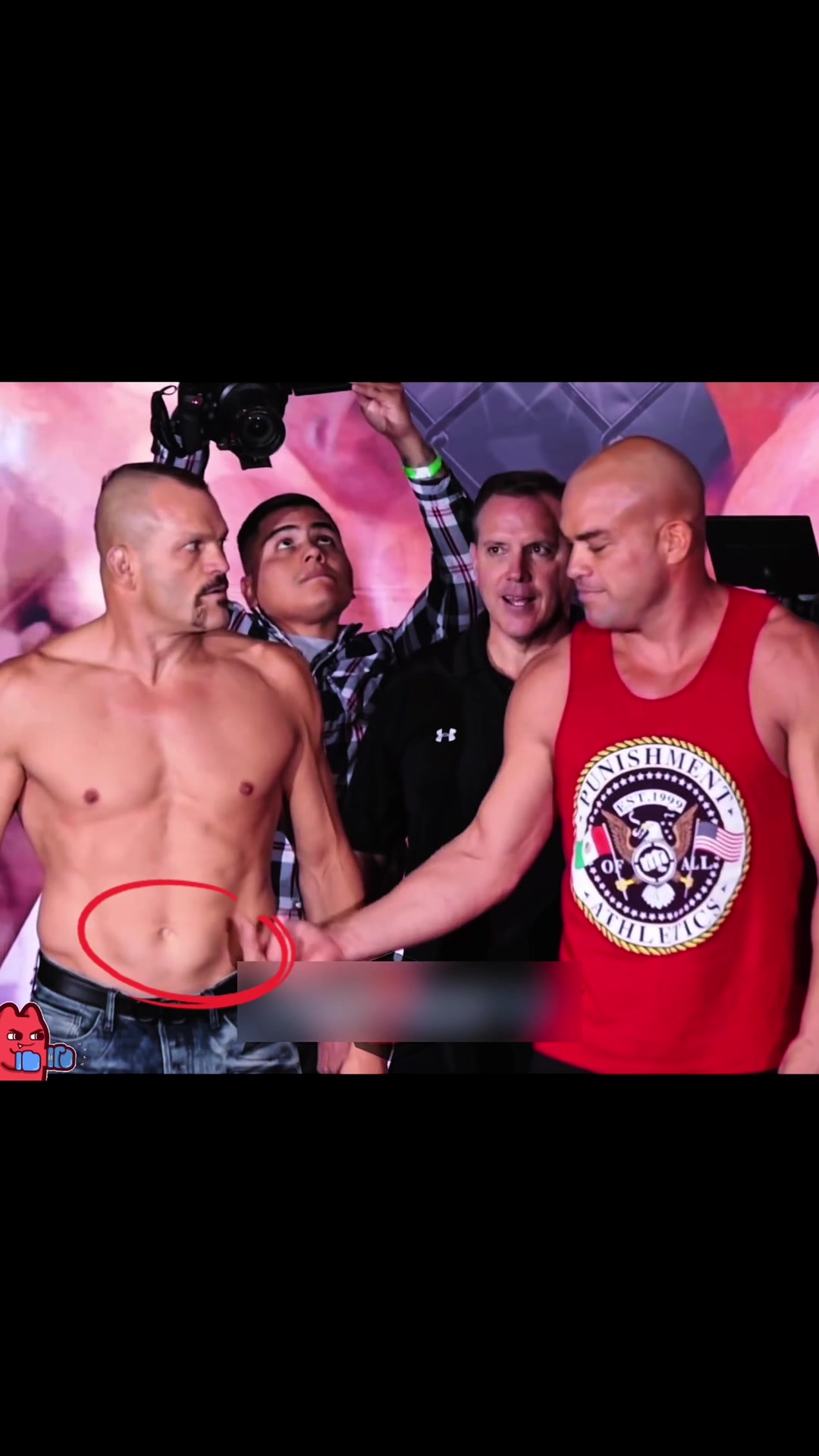 @boxer_tk