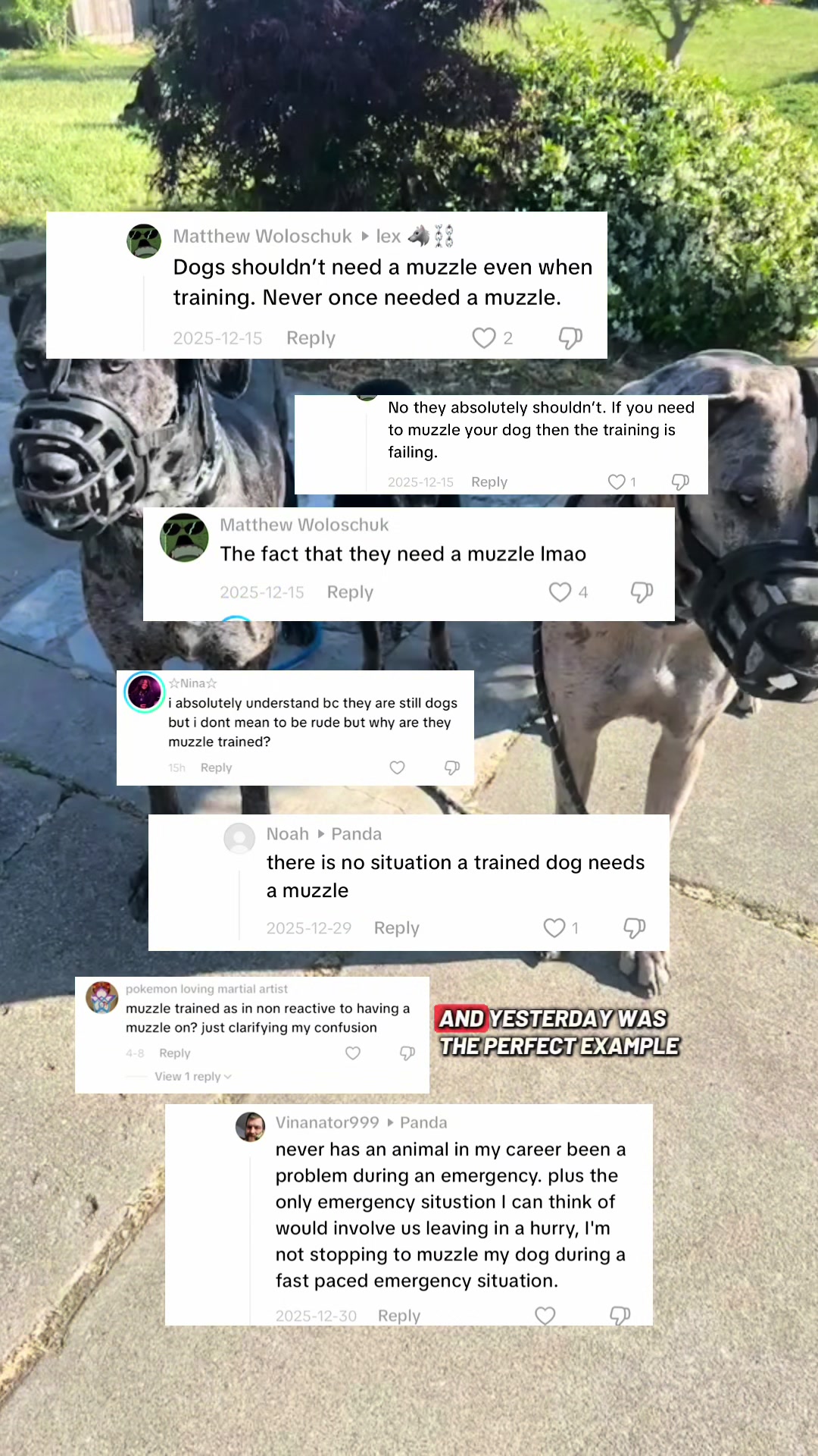 @lex 🐺⛓️